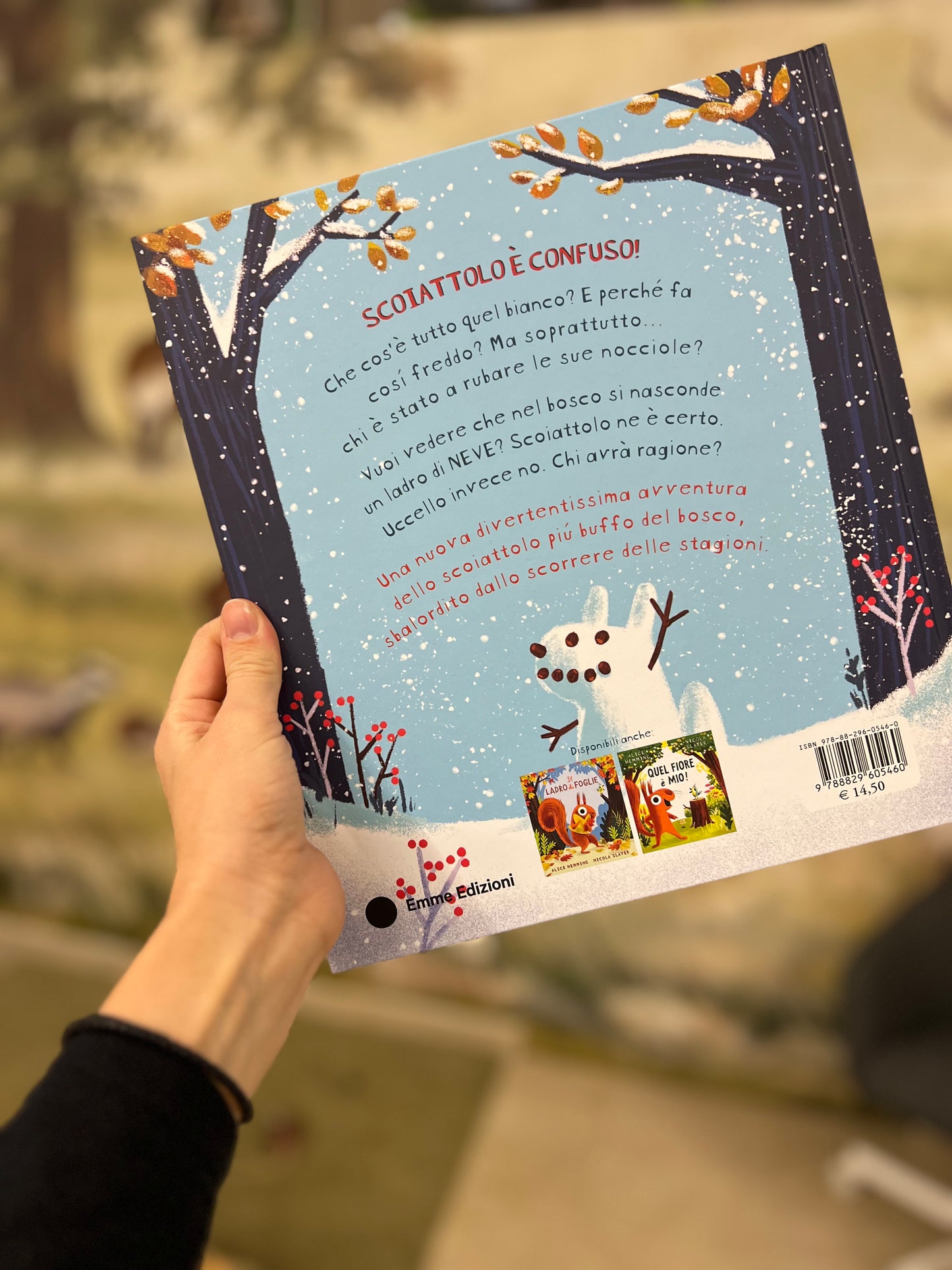 Il ladro di neve, Alice Hemming, Nicola Slater