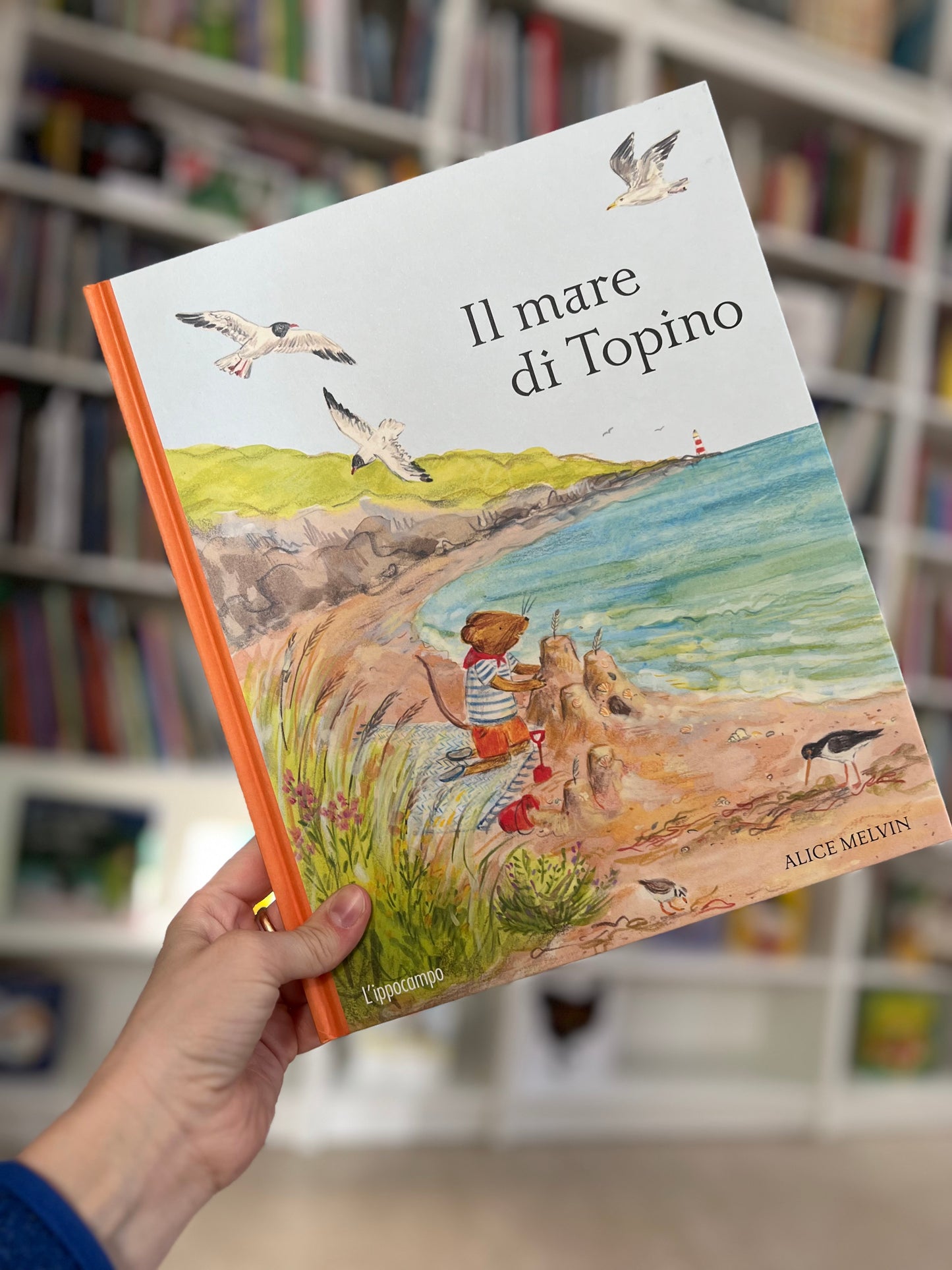Il mare di Topino, Alice Melvin