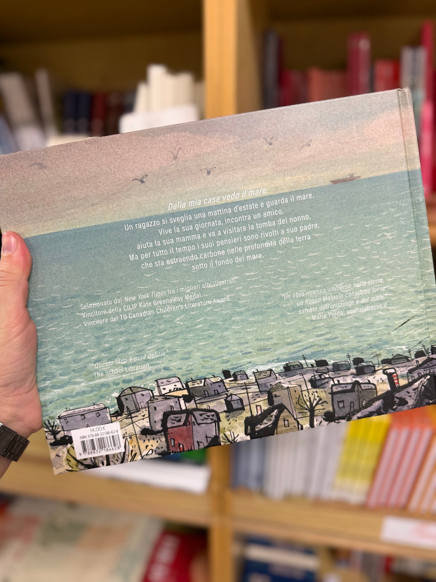 La mia città sul mare, Joanne Schwartz, Sydney Smith