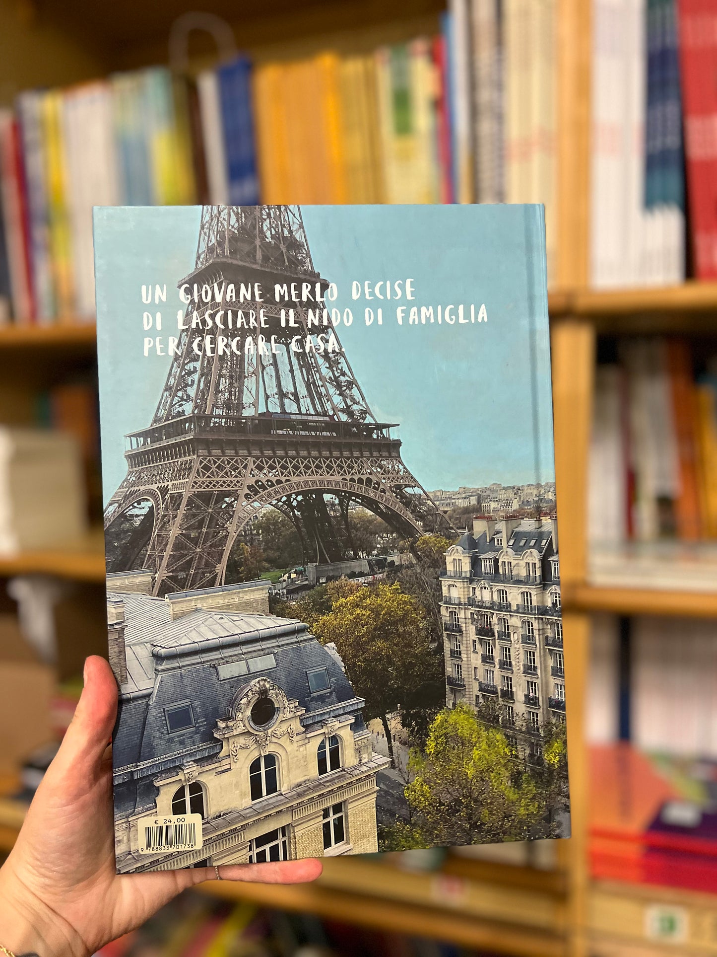 Avventura di un merlo a Parigi, Paolo Ventura