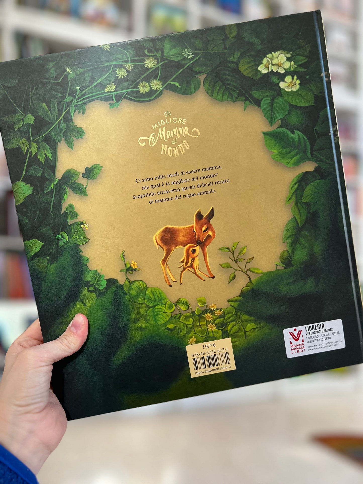 La migliore mamma del mondo, Sebastien Perez, Benjamin Lacombe