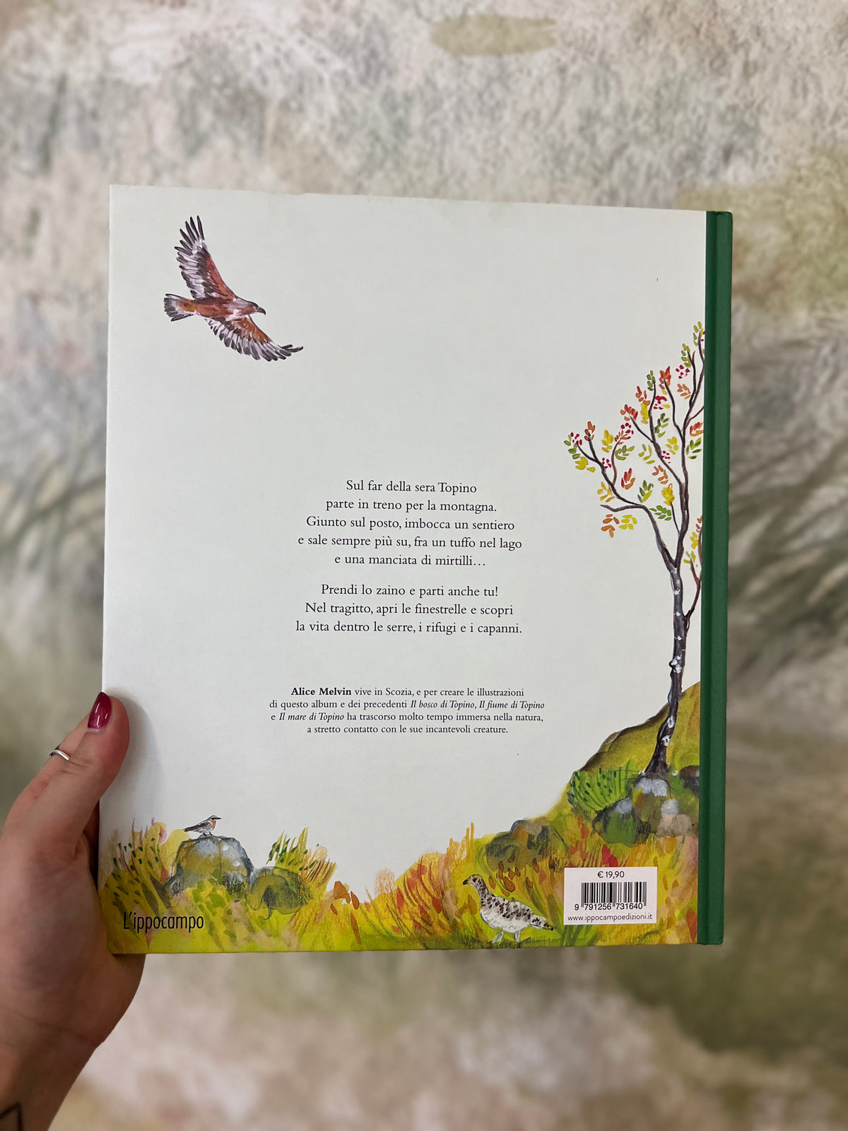 La montagna di Topino, Alice Melvin