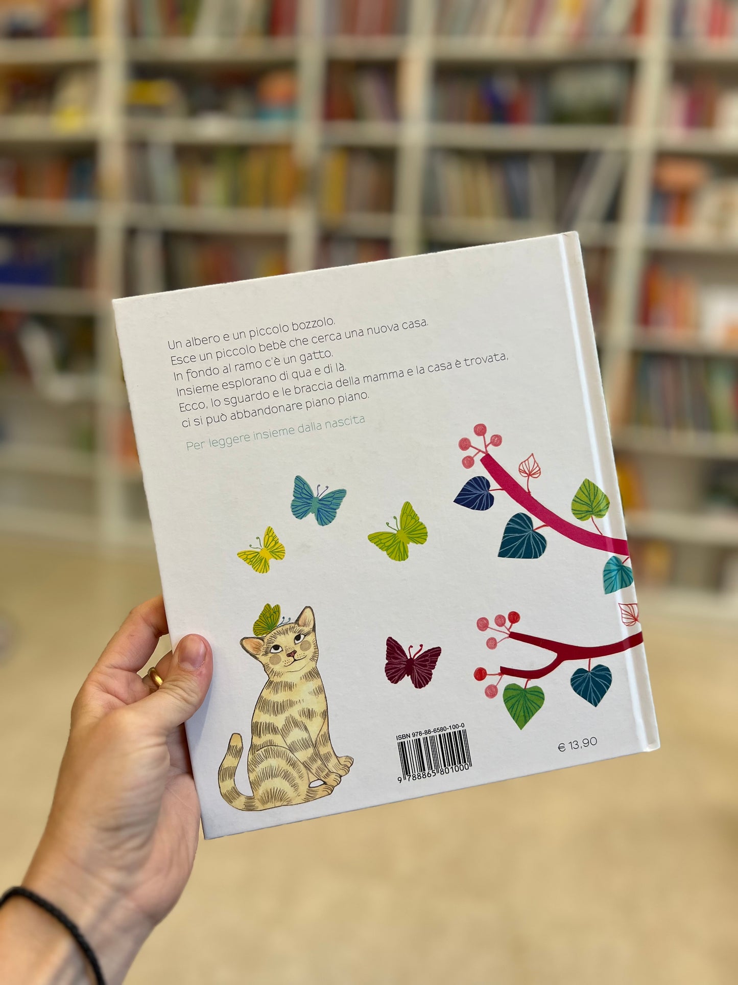 Casa albero, Ilya Green