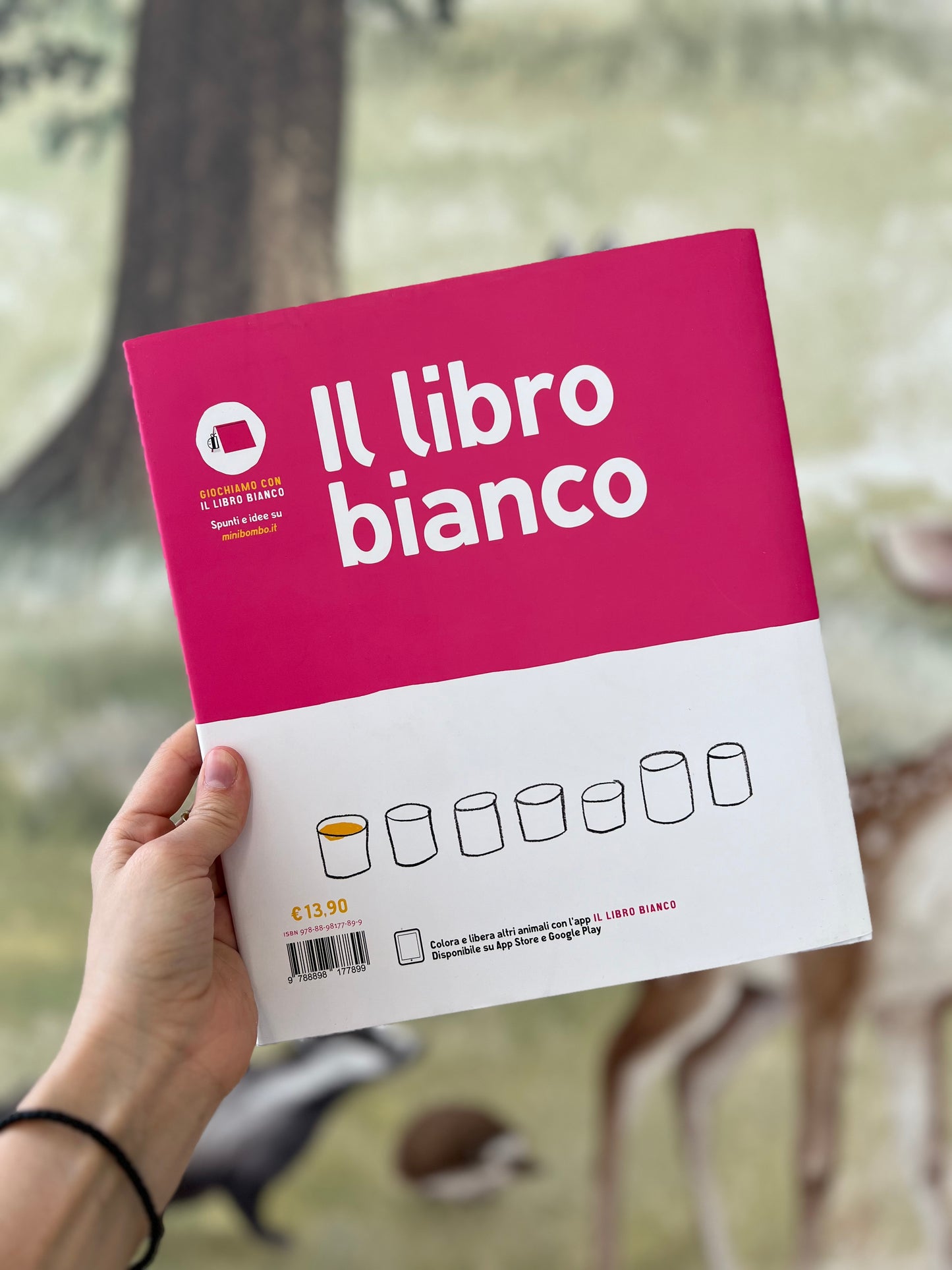 Il libro bianco, Minibombo