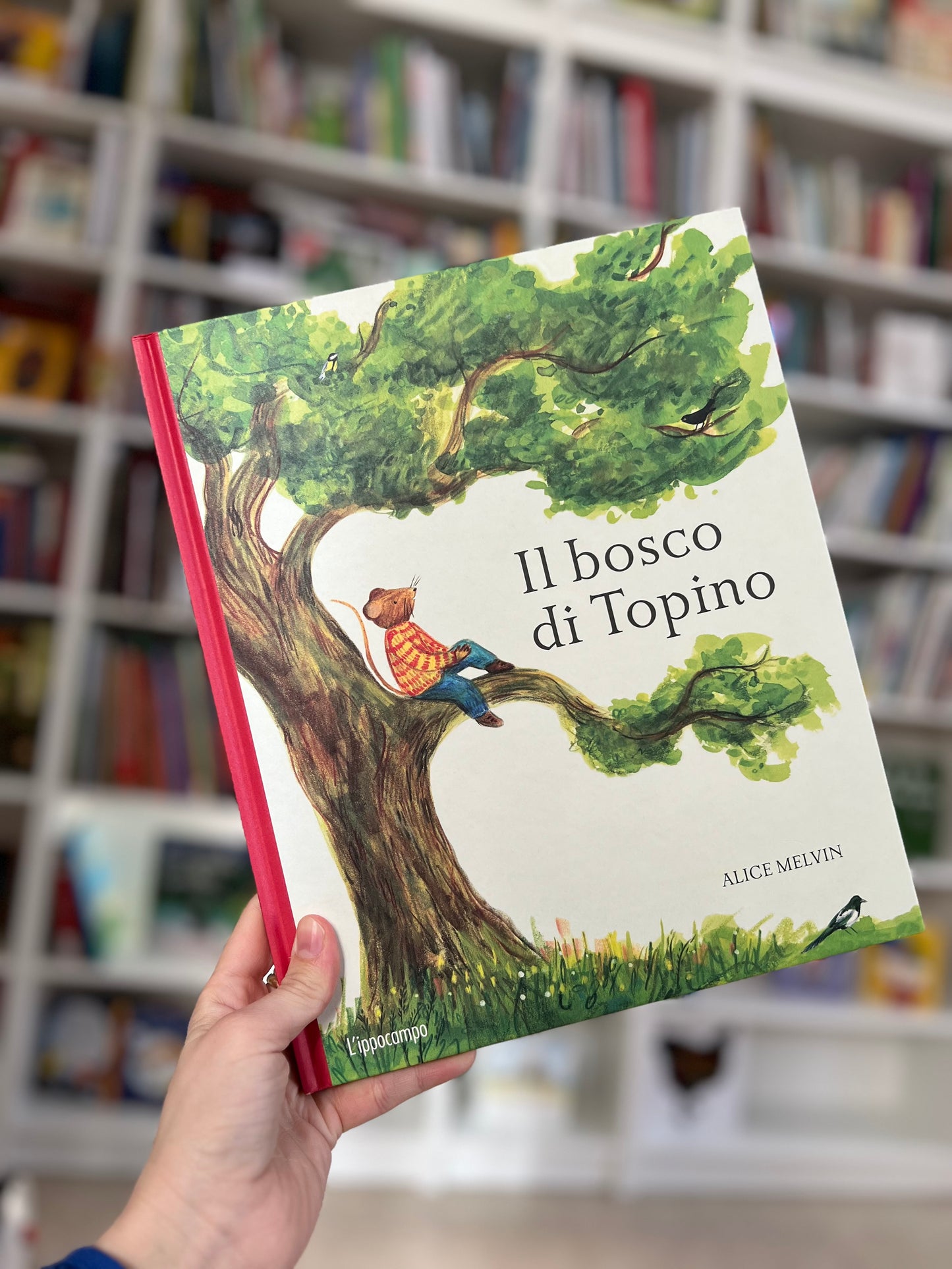 Il bosco di Topino, Alice Melvin