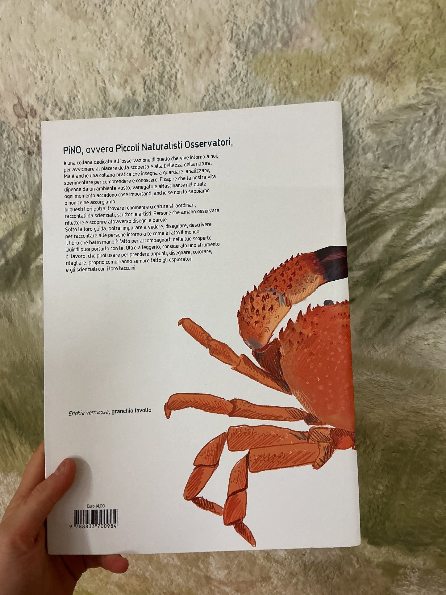 In riva al mare. Guida pratica per esploratori di litorali, Elisabetta Mitrovic