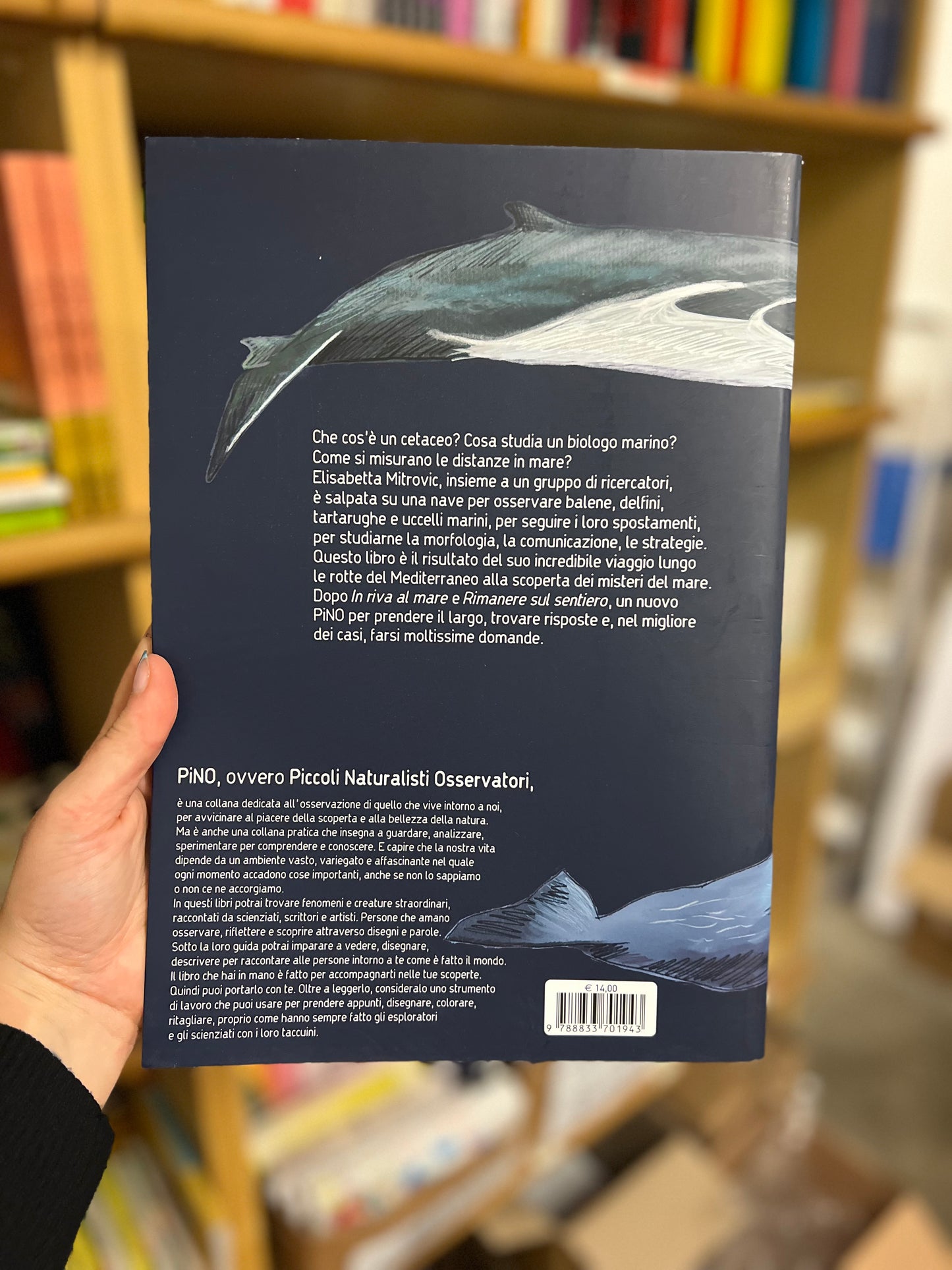 In alto mare guida pratica per piccoli navigatori lungo le rotte dei giganti marini, Elisabetta Mitrovic