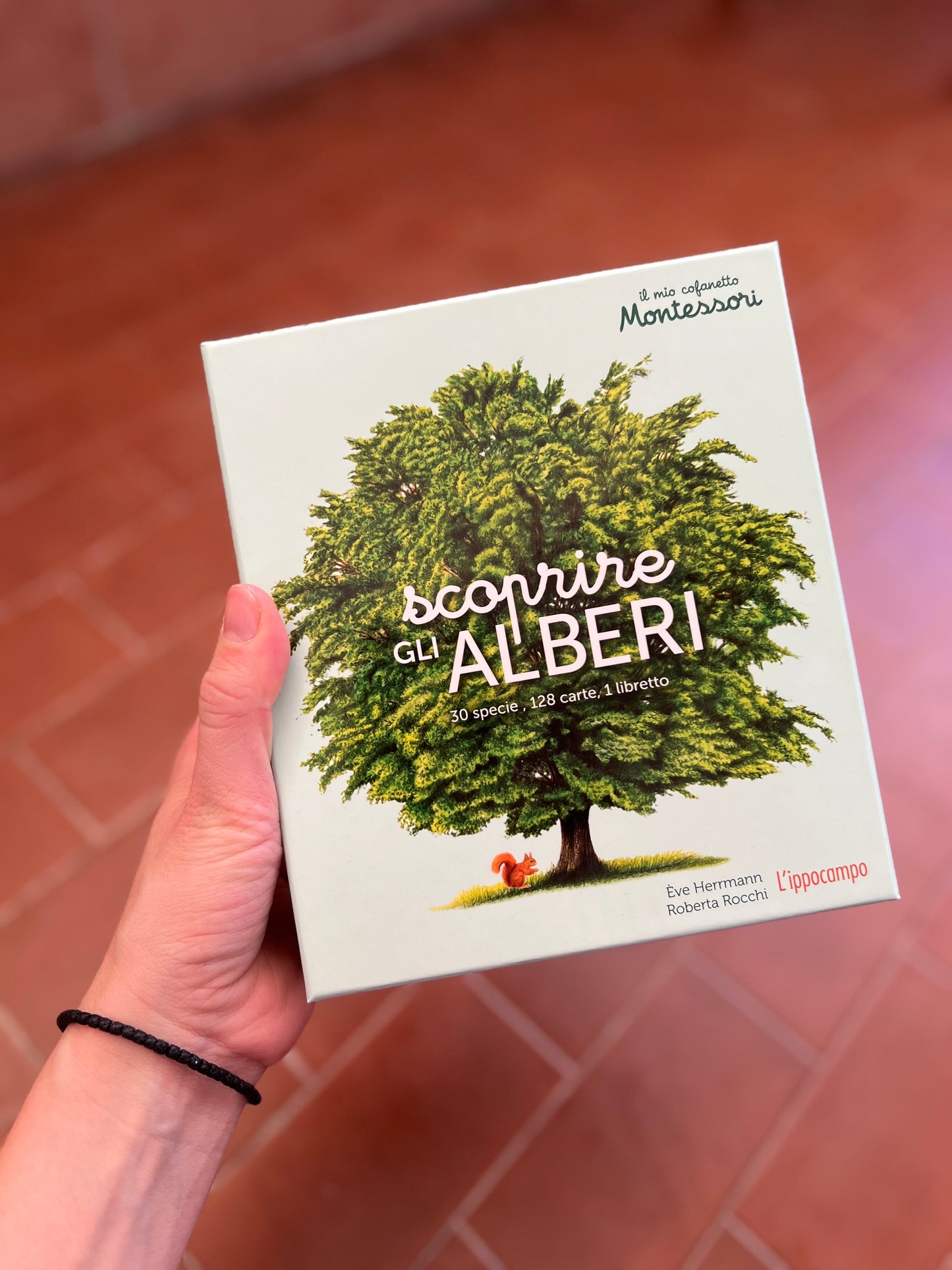 Il mio cofanetto Montessori - Scoprire gli alberi, Ève Hermann, Roberta Rocchi