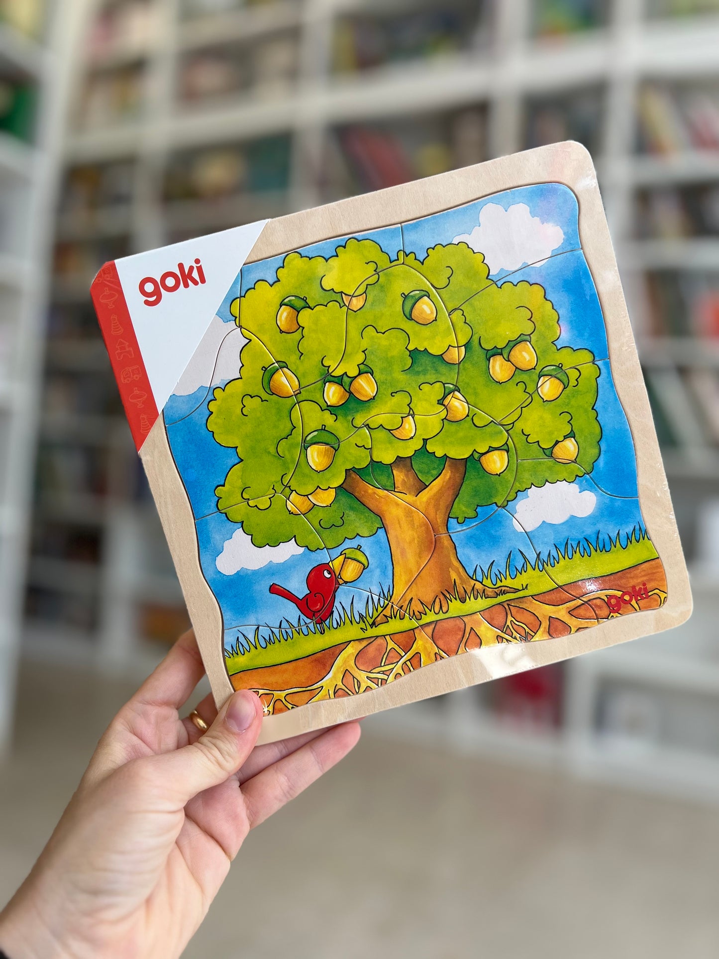Puzzle in legno, dal seme all’albero, ciclo evolutivo
