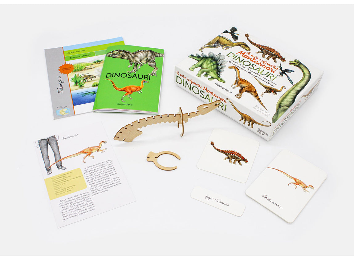 Il mio cofanetto Montessori dei dinosauri, Ève Hermann, Roberta Rocchi
