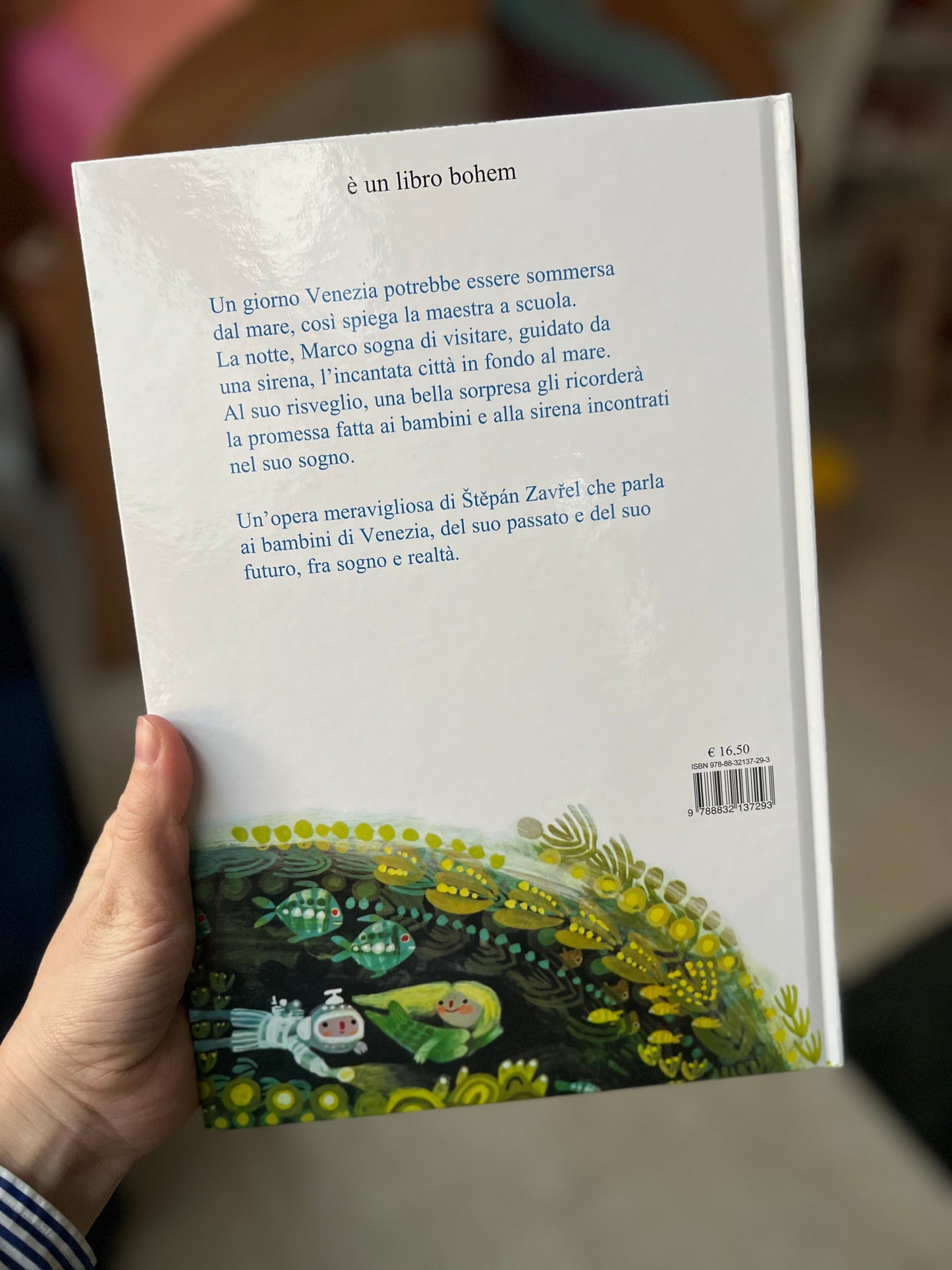 Un sogno a Venezia, Stepan Zavrel
