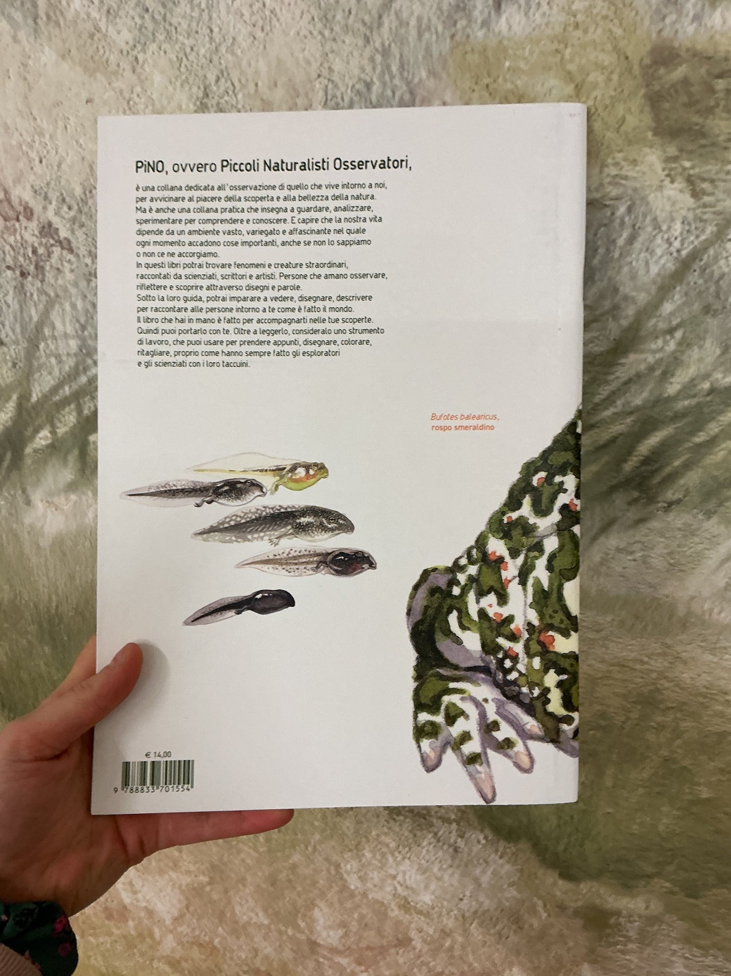 Rane, rospi e tritoni. Gli anfibi e l’arte della trasformazione, Federico Gemma