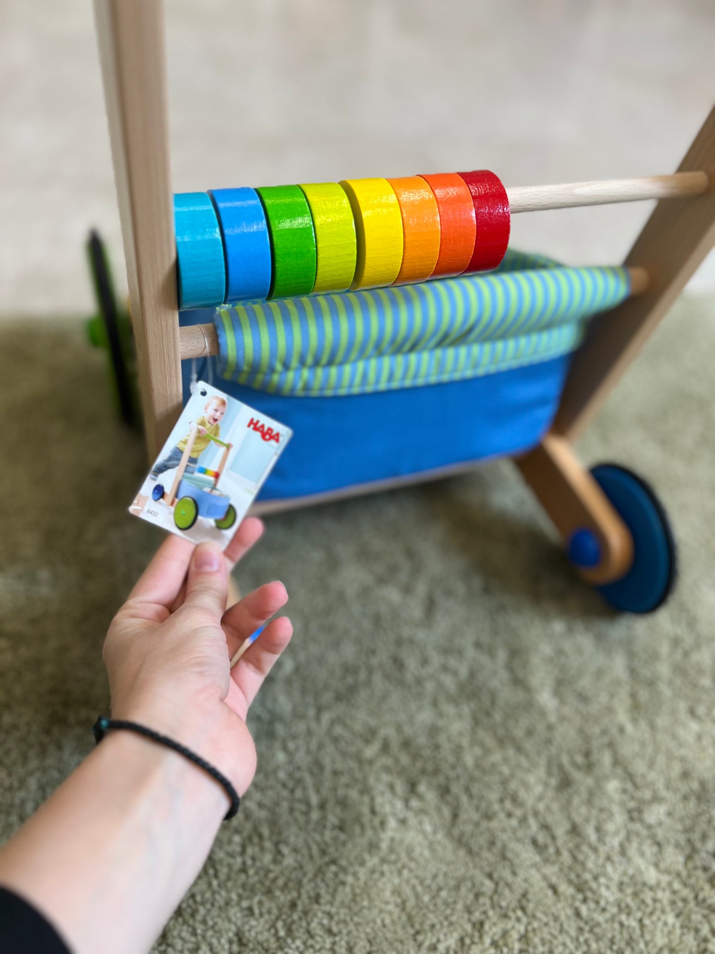Carrello primi passi Haba