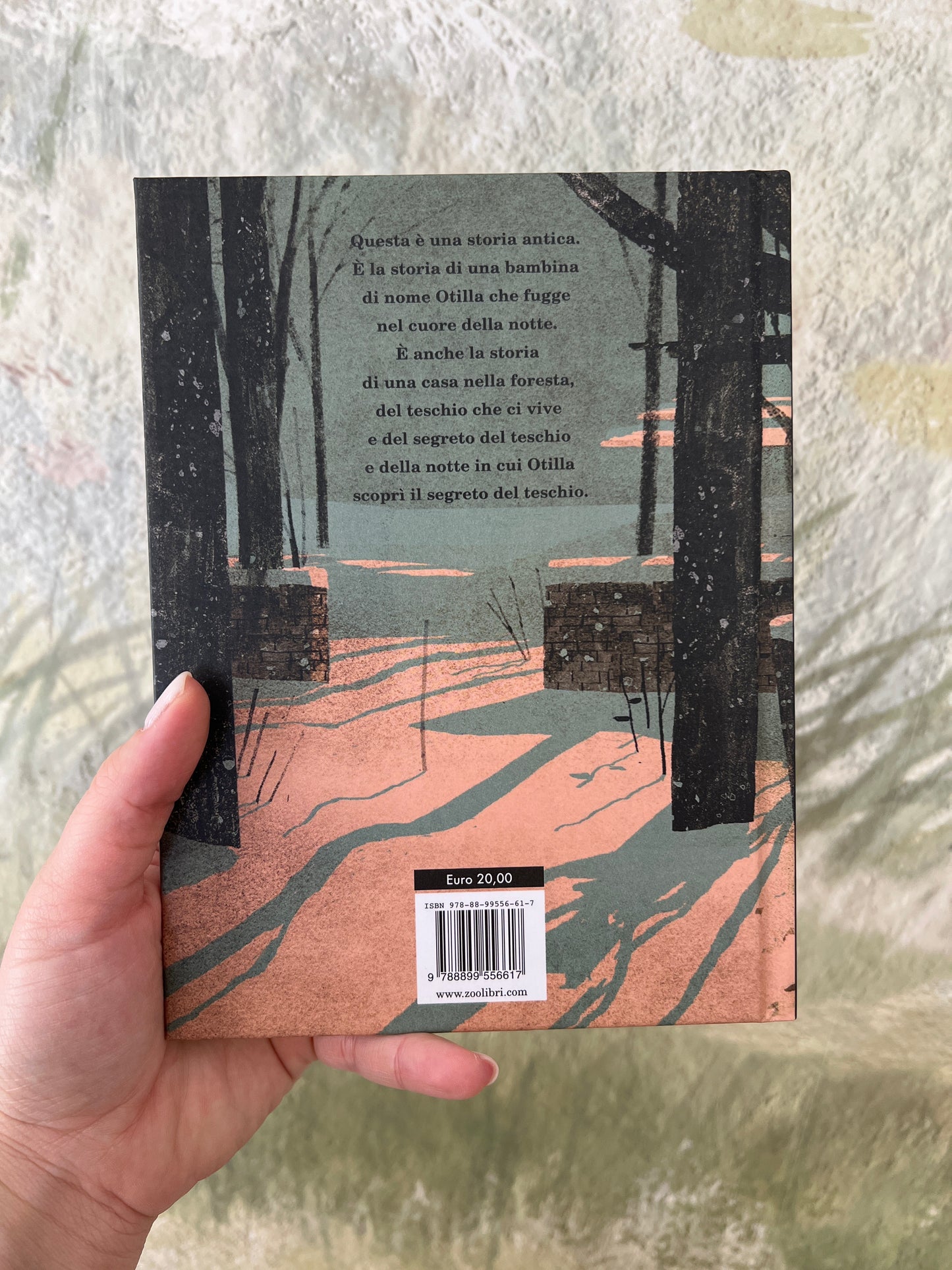 Il teschio, Jon Klassen
