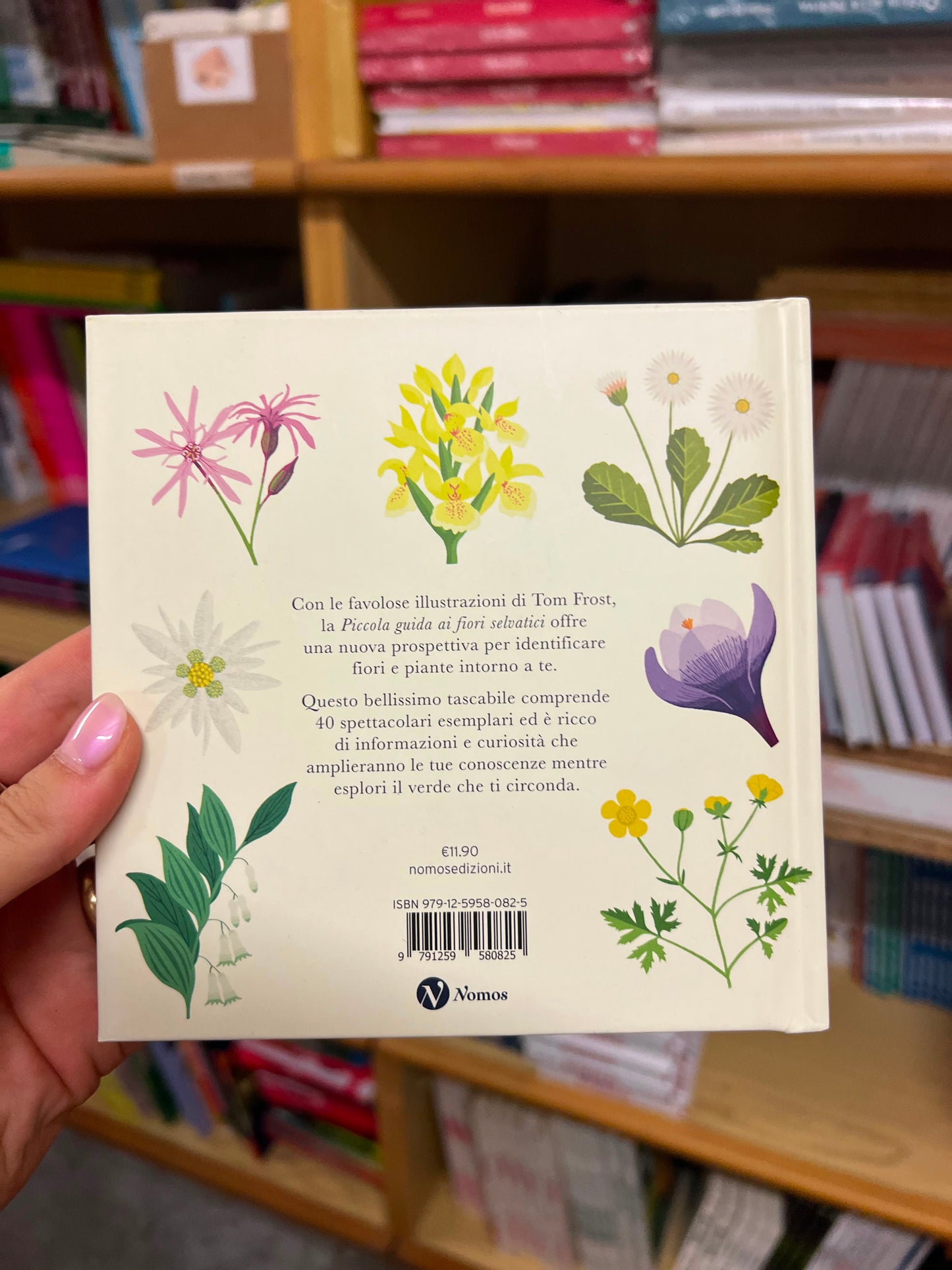 Piccola guida ai fiori selvatici, Tom Frost, Alison Davies