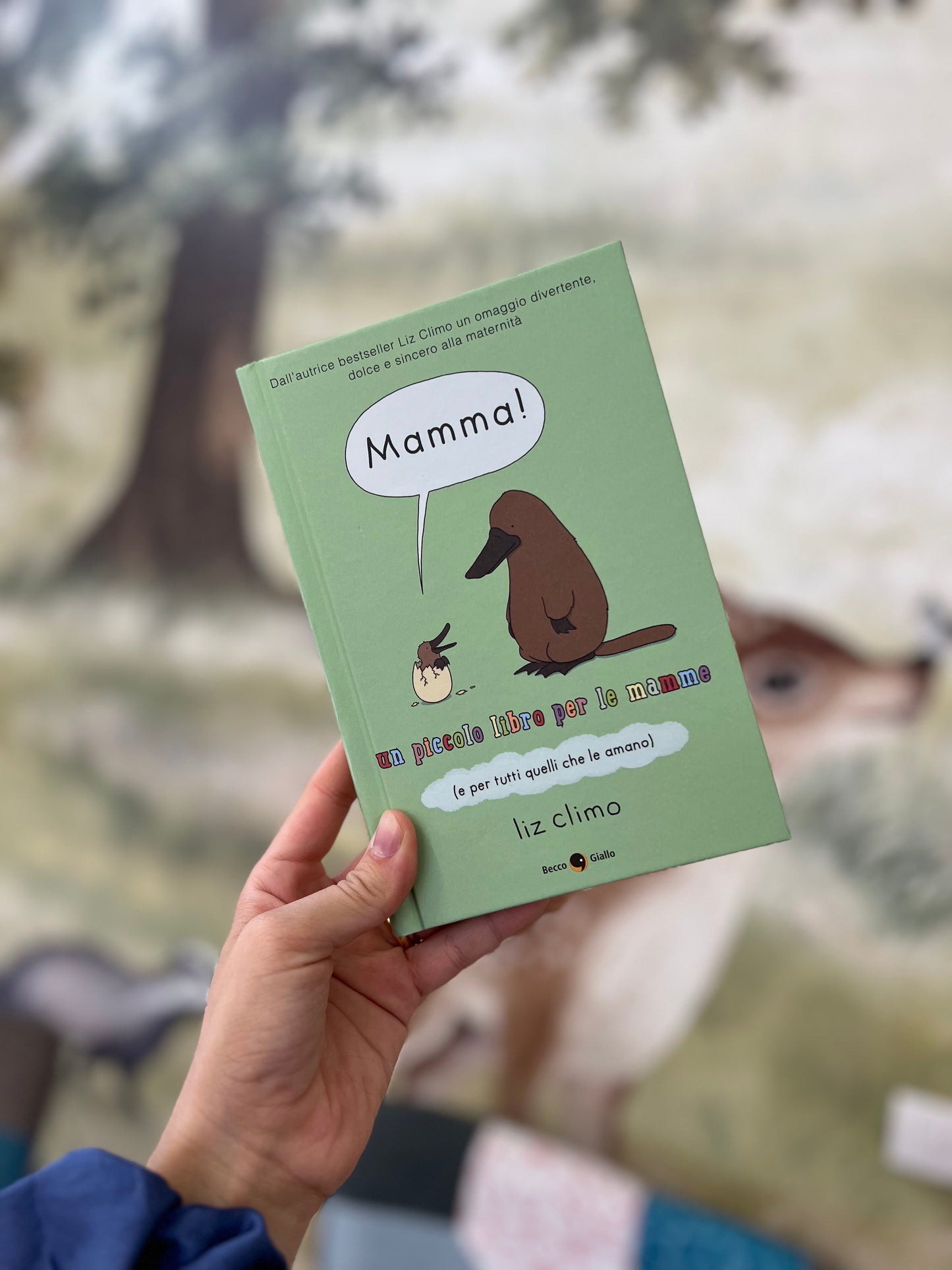 Mamma! Un piccolo libro per le mamme, Liz Climo