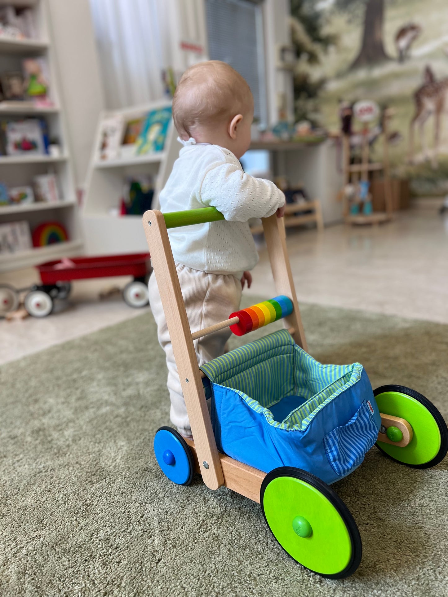 Carrello primi passi Haba