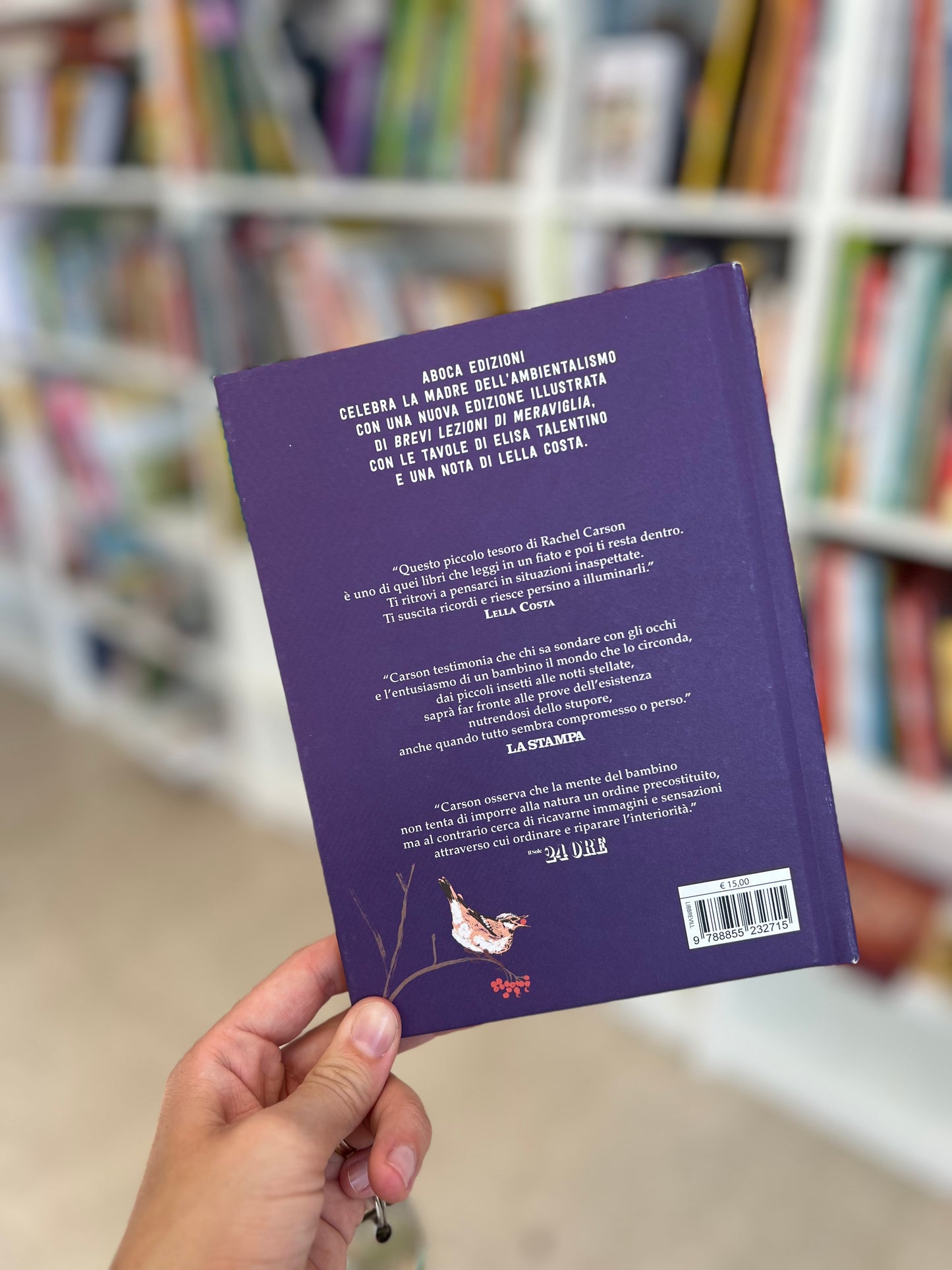 Brevi lezioni di meraviglia, Rachel Carson, Elisa Talentino
