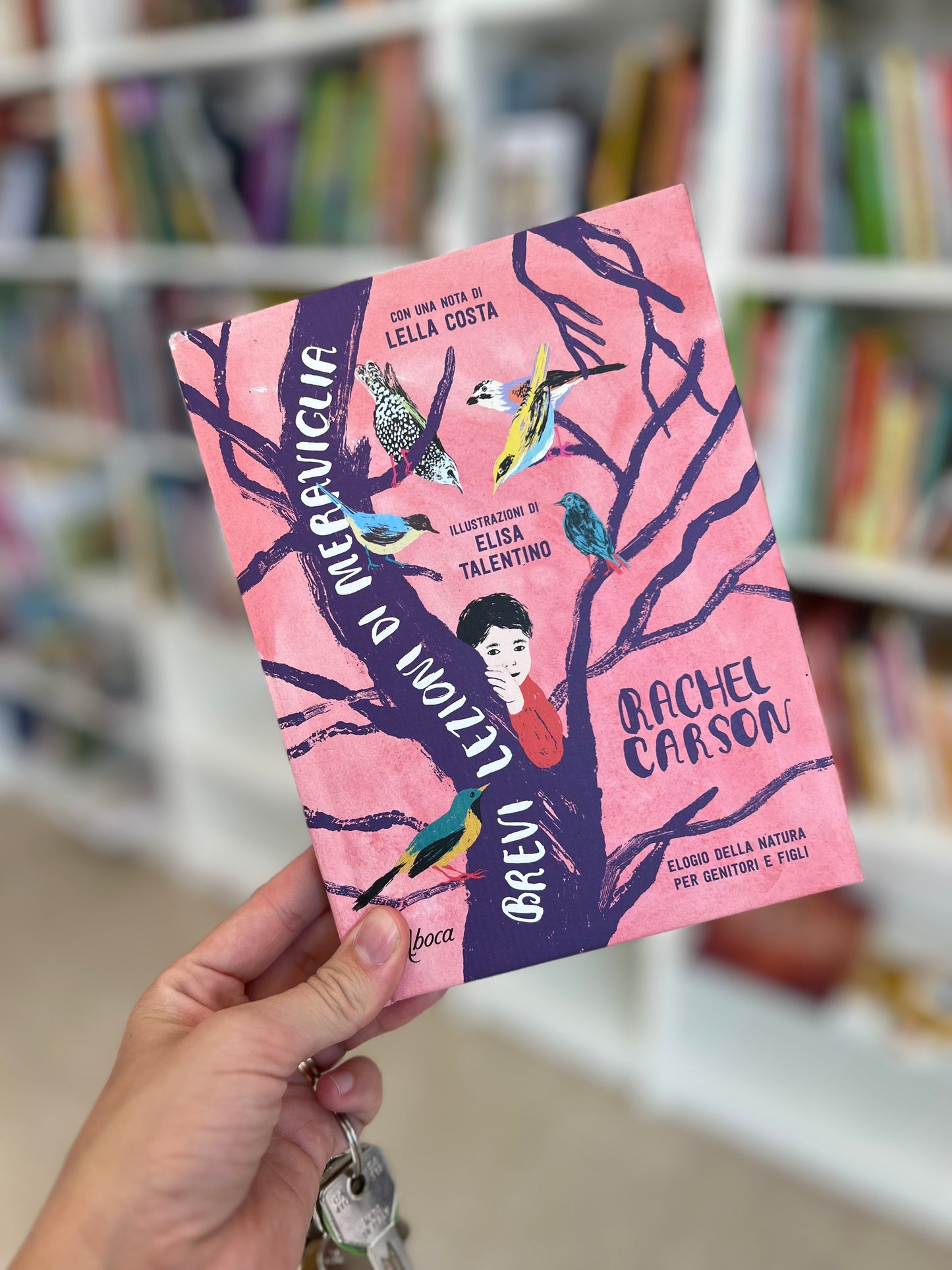 Brevi lezioni di meraviglia, Rachel Carson, Elisa Talentino