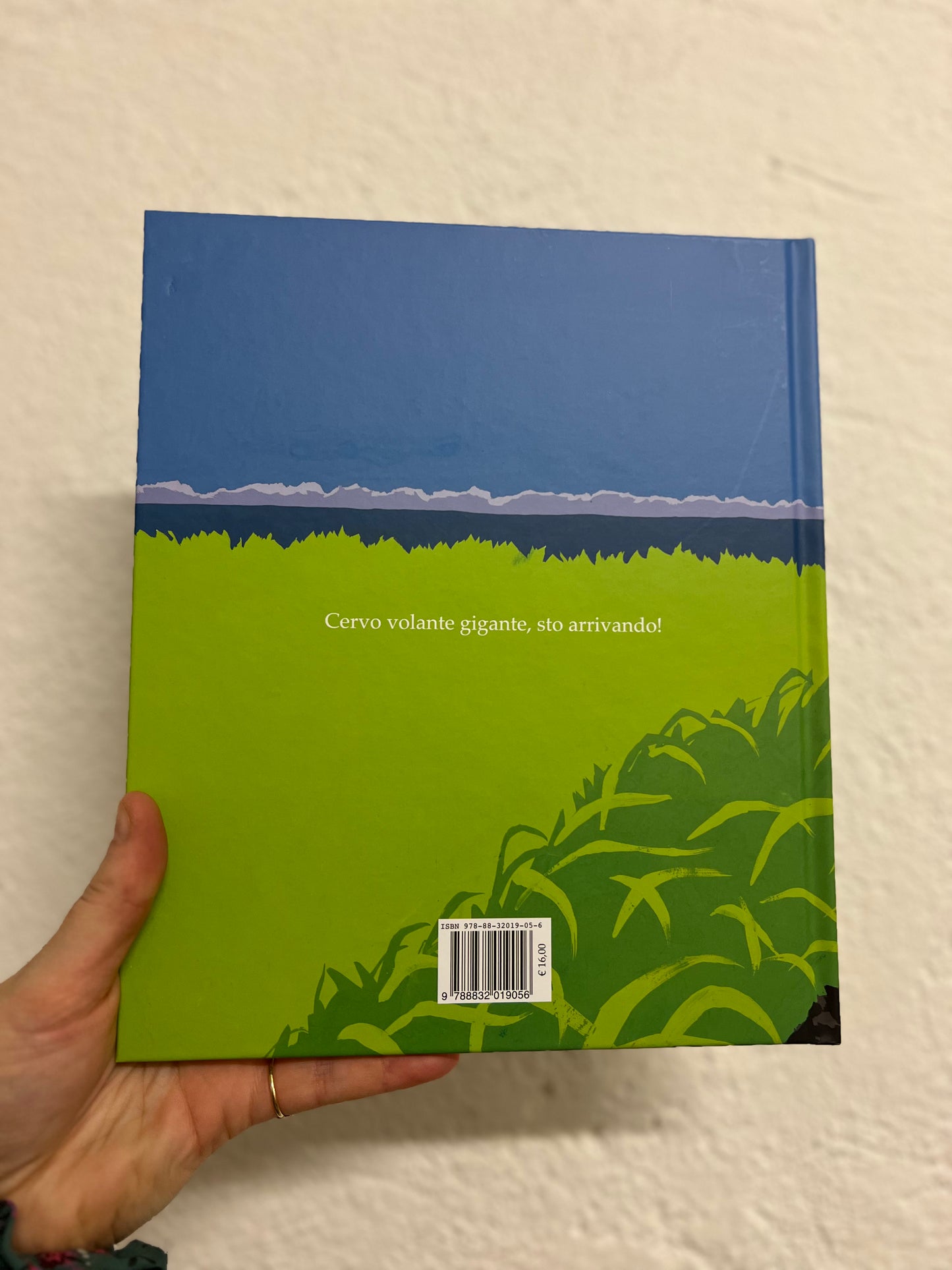 Un giorno d’estate, Koshino Hata