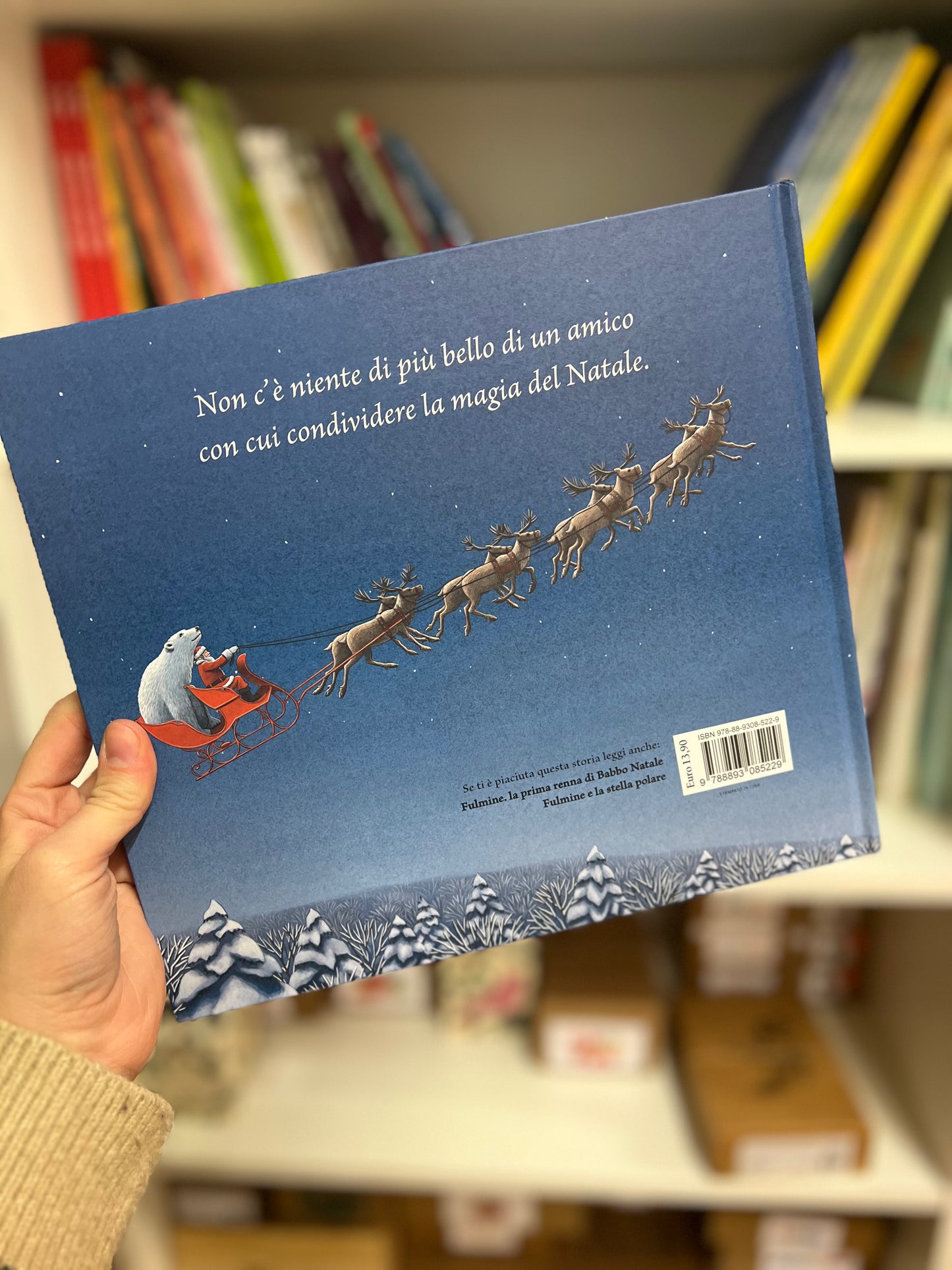 Fulmine e l’orso bianco - Matt Tavares