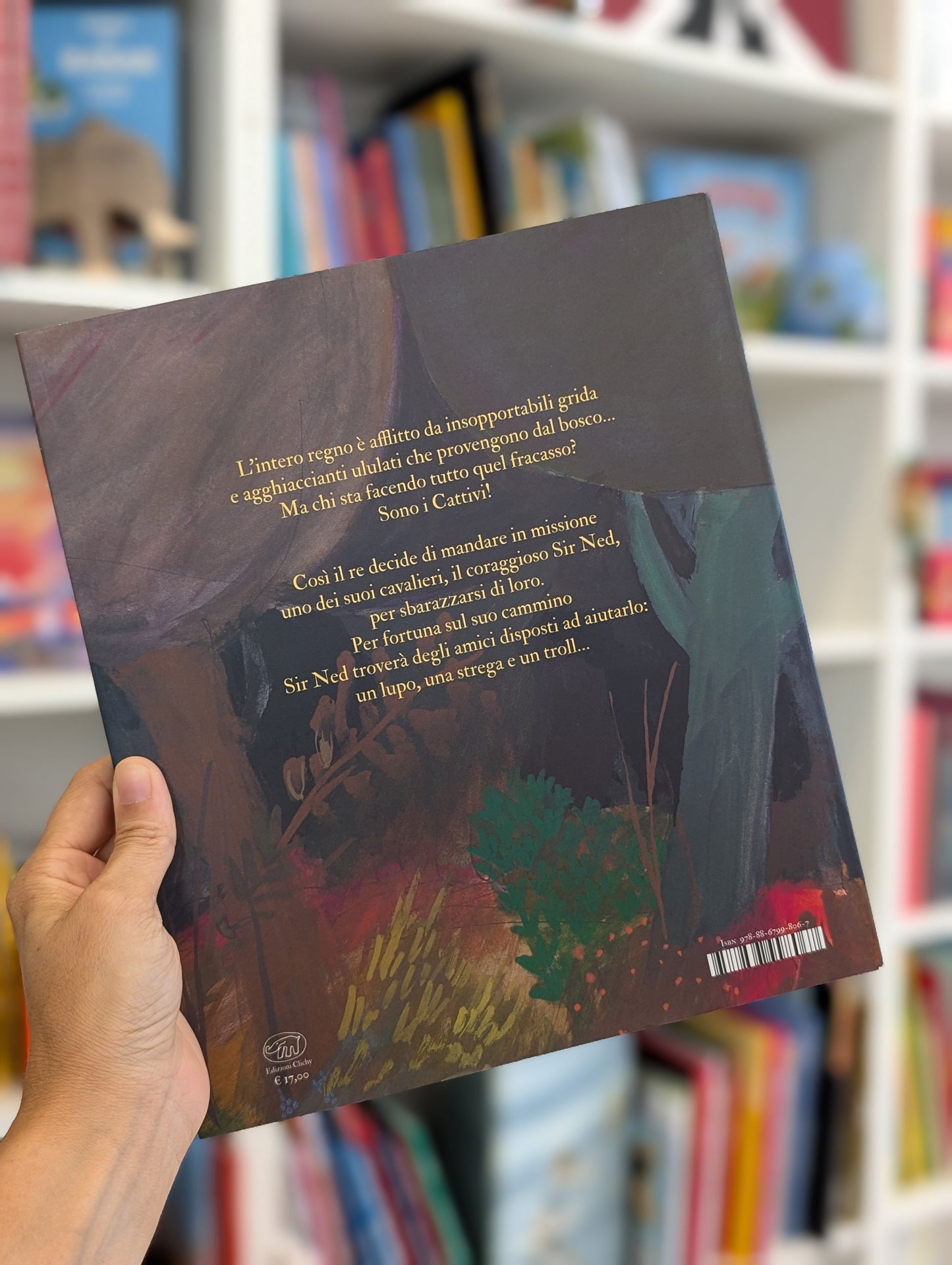 Sir Ned contro i cattivi del bosco, Brett e David Mckee