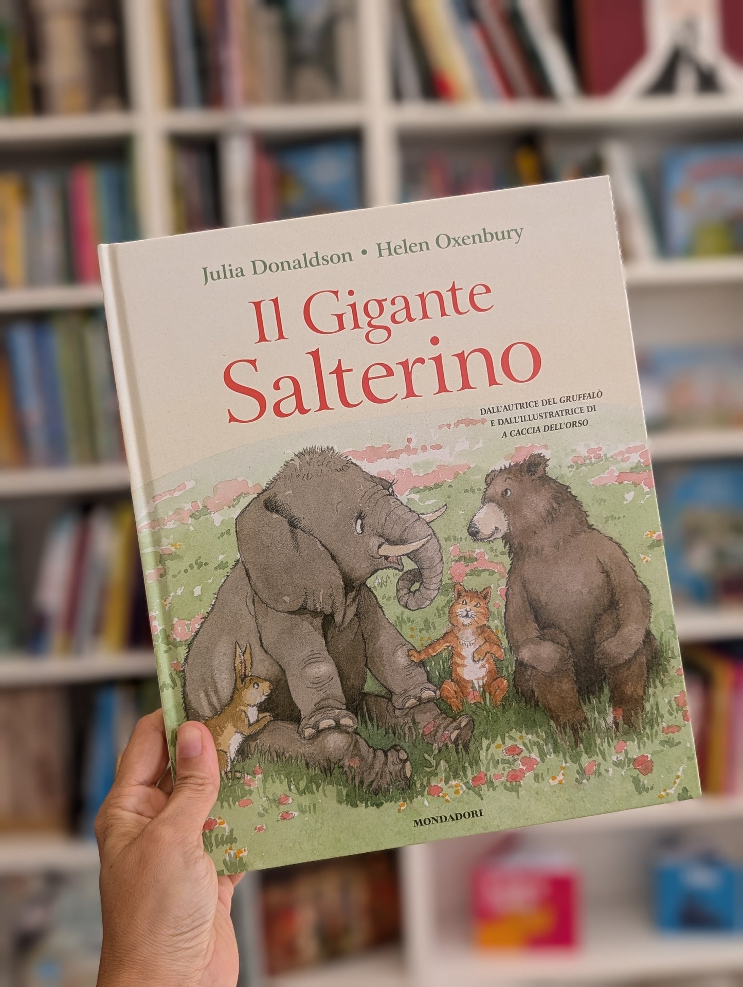Il Gigante Salterino, Julia Donaldson e Helen Oxenbury