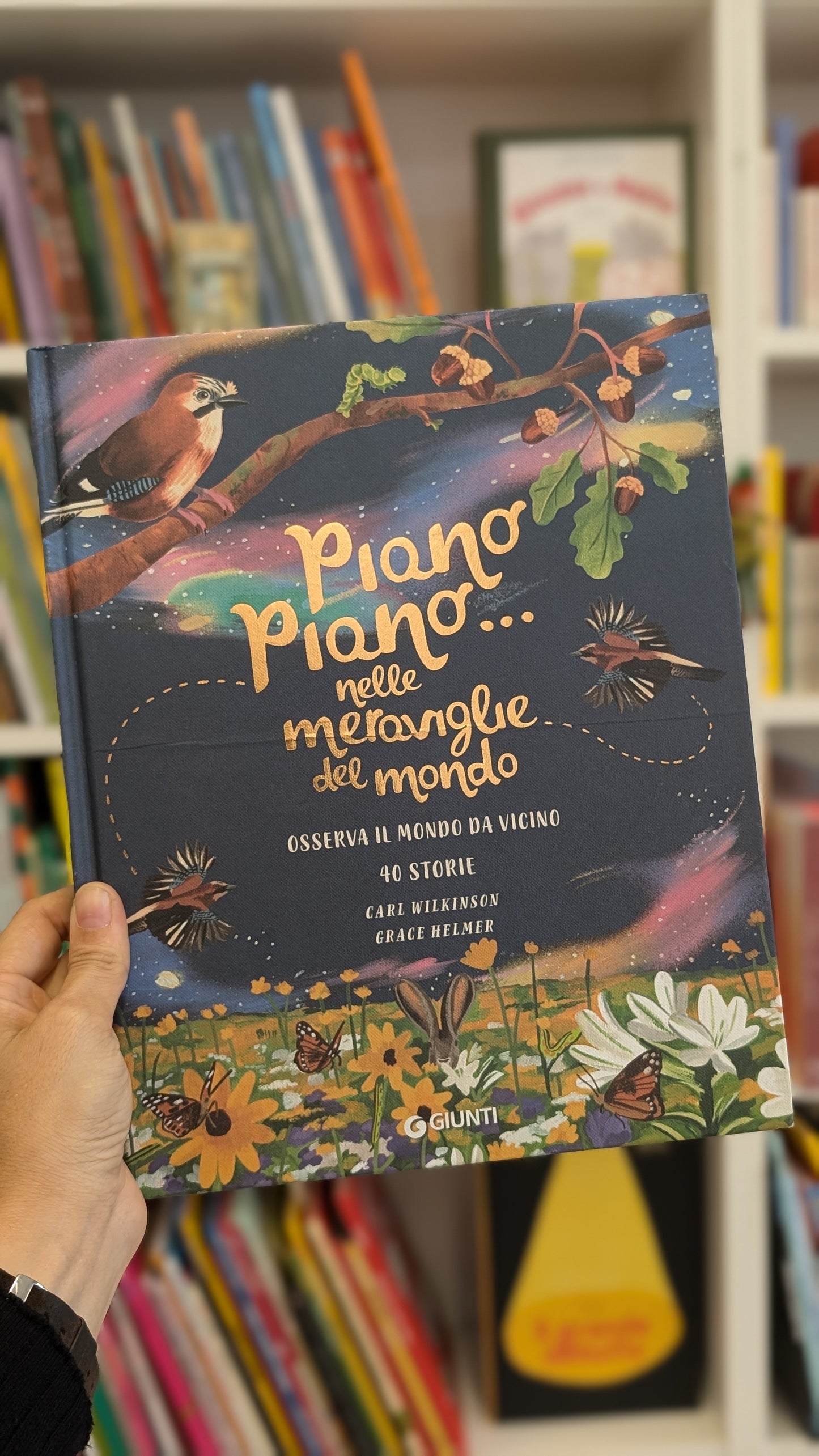 Piano piano... nelle meraviglie del mondo. Carl Wilkinson e Grace Helmer