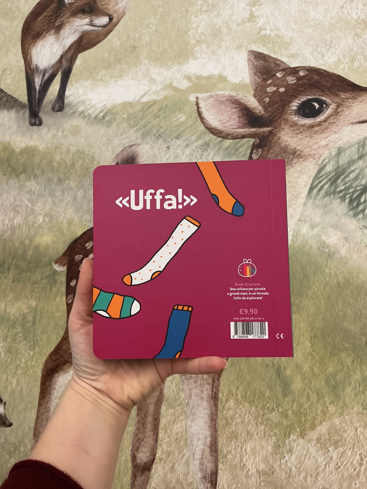 Ho un buco nel calzino, Silvia Borando