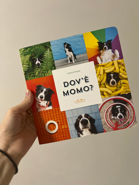 Dov’è Momo? Andrew Knapp