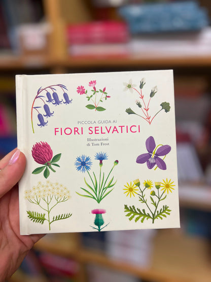 Piccola guida ai fiori selvatici, Tom Frost, Alison Davies