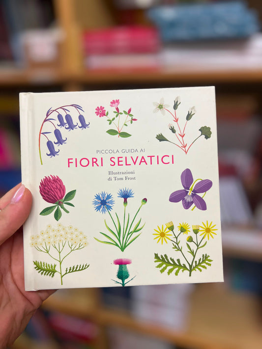 Piccola guida ai fiori selvatici, Tom Frost, Alison Davies