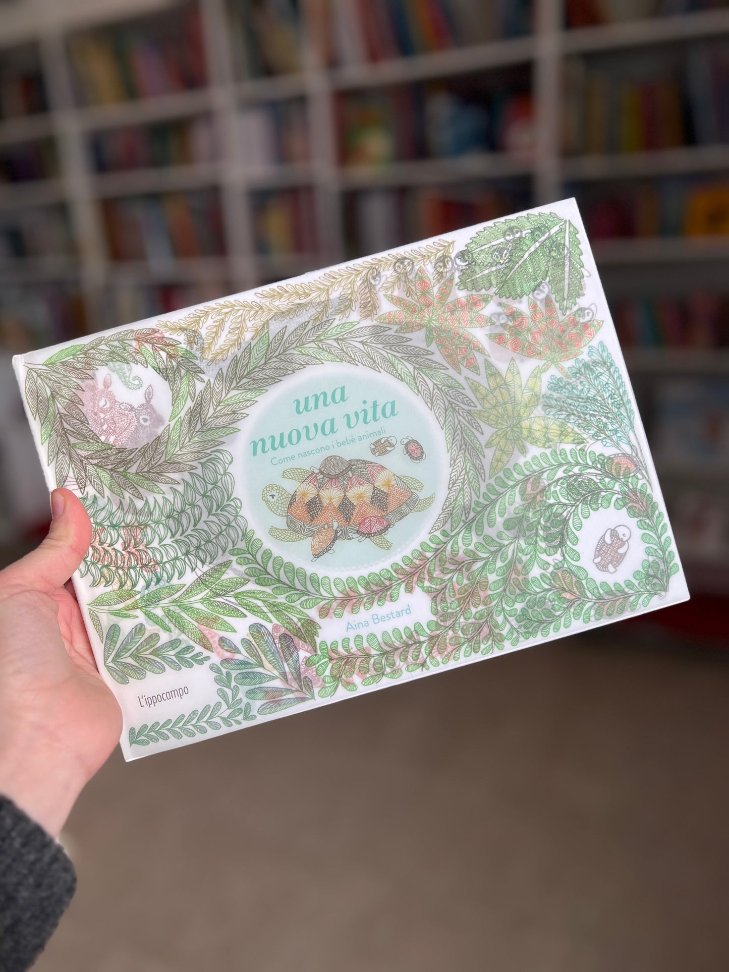 Una nuova vita, come nascono i bebè animali, Aina Bestard