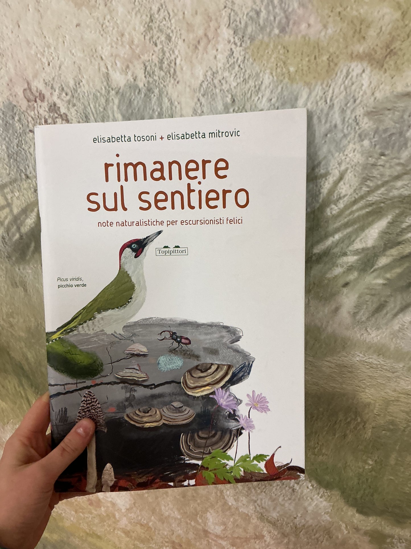Rimanere sul sentiero. Note naturalistiche per escursioni felici, Elisabetta Tosoni e Elisabetta Mitrovic
