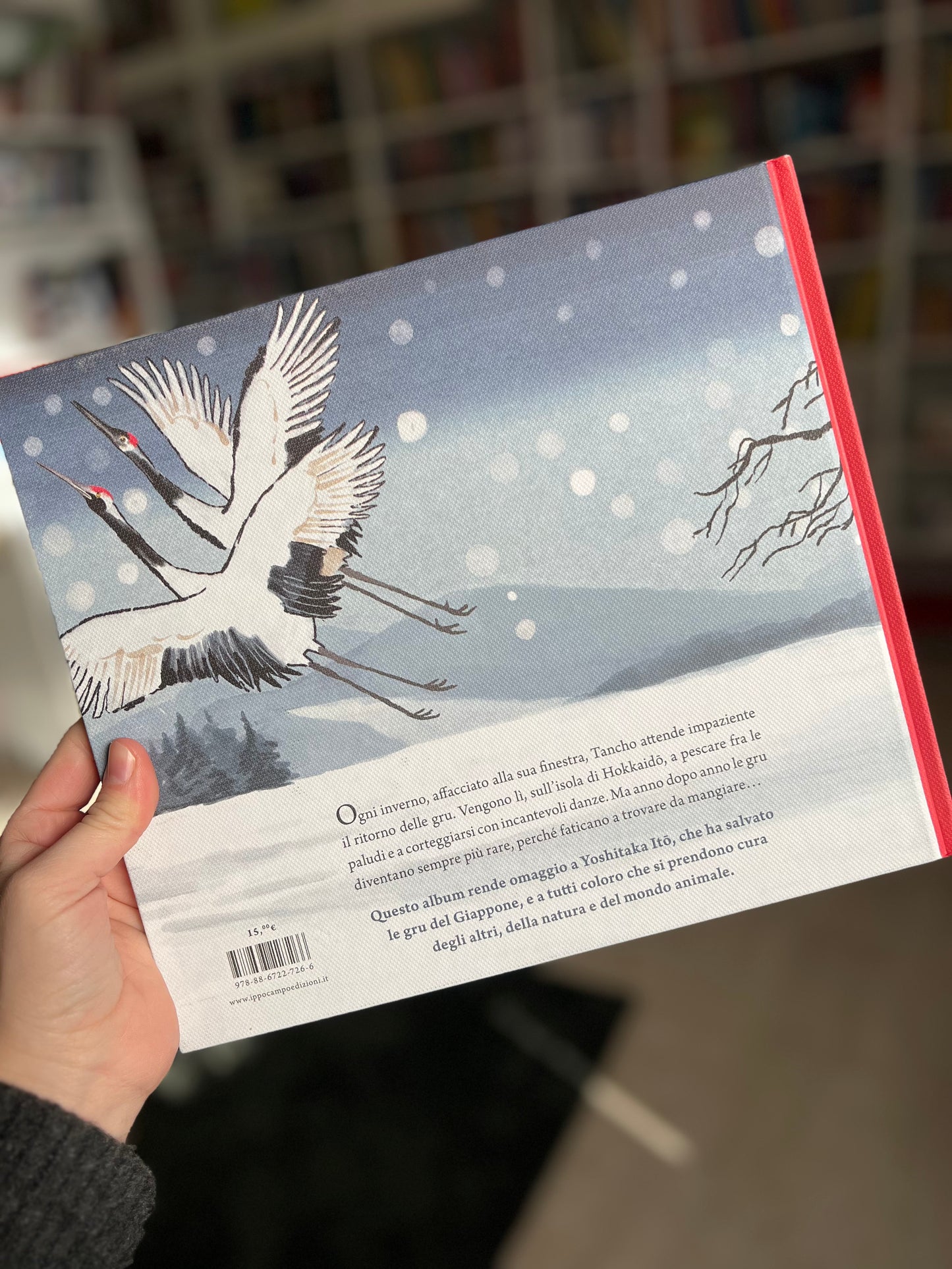 Tancho Luciano Lozano