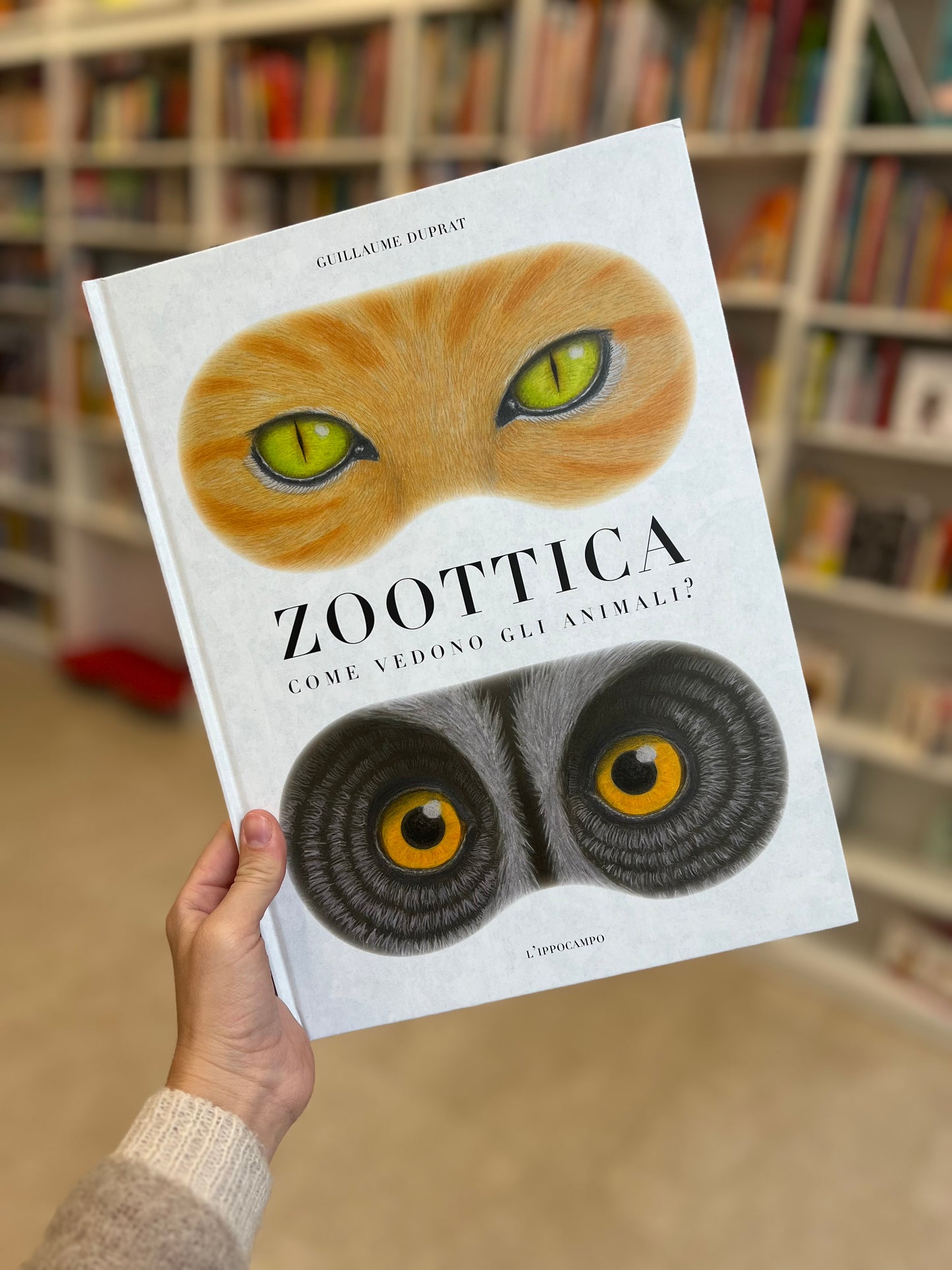 Zoottica, Guillaume Duprat