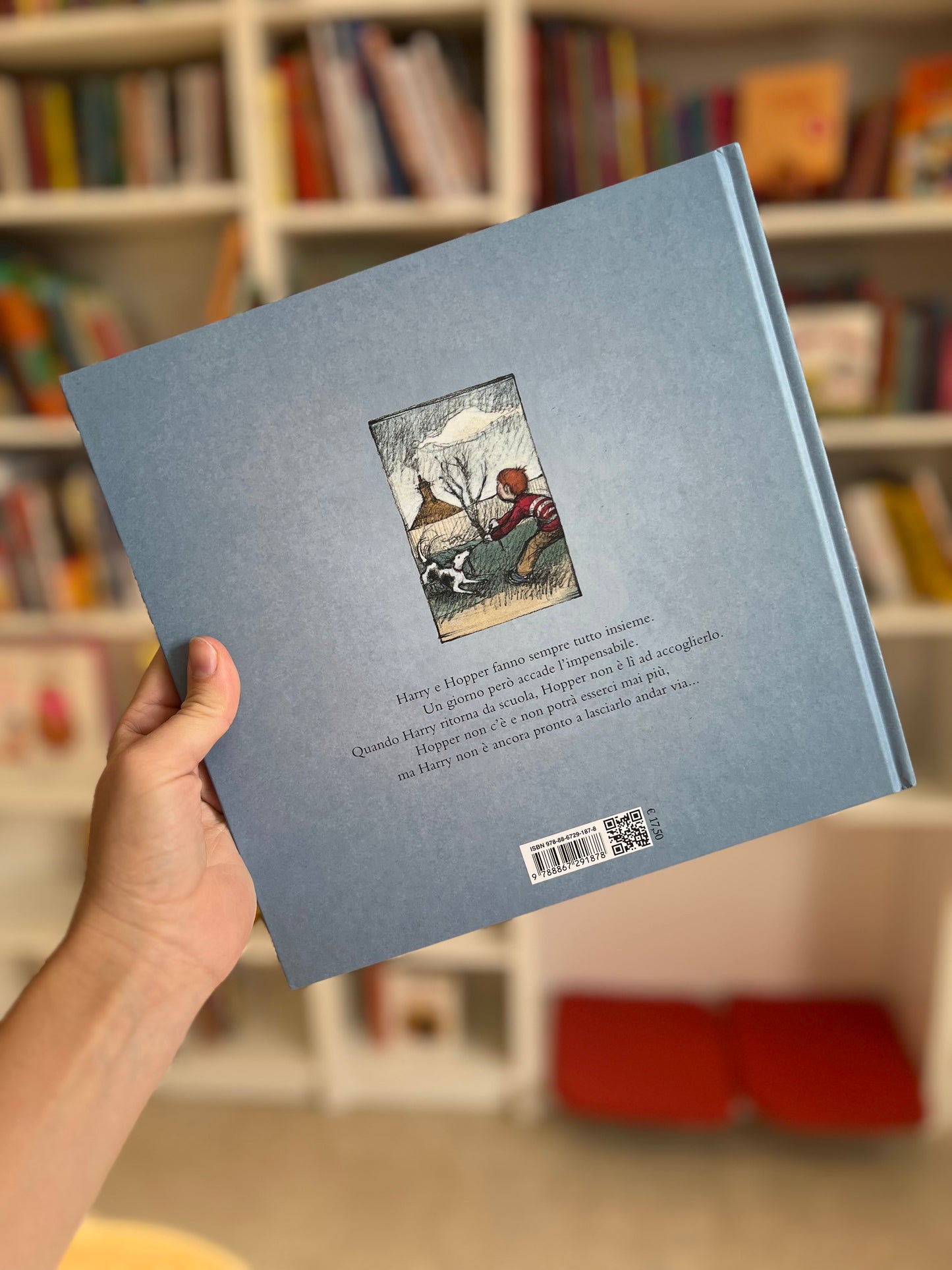 Harry & Hopper, Margaret Wild, Freya Blackwood