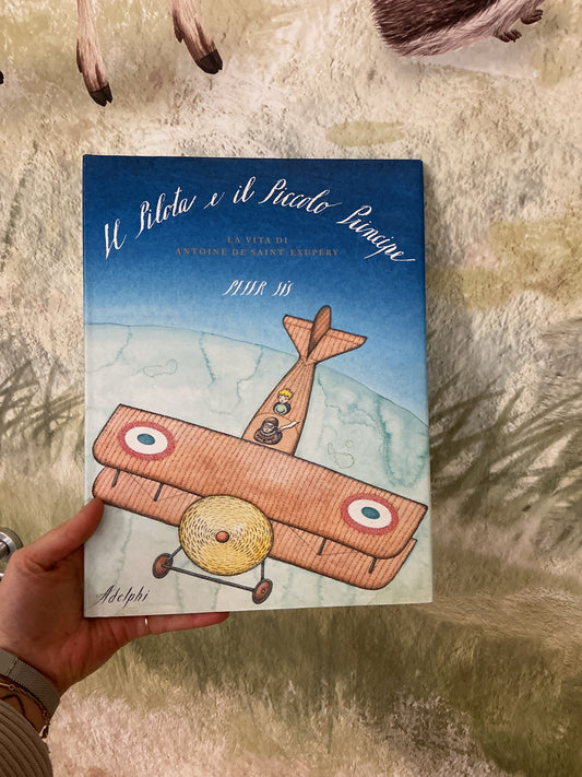 Il pilota e il Piccolo Principe, Peter Sis