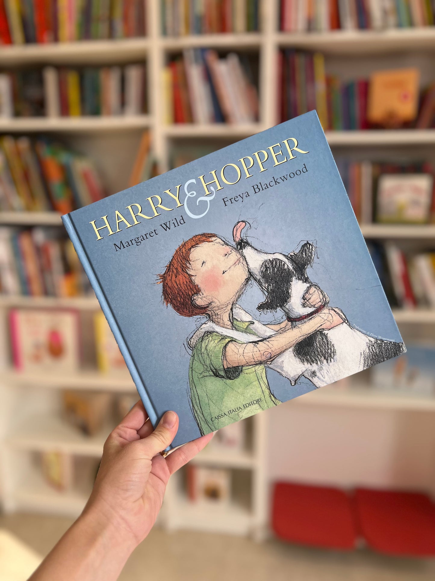 Harry & Hopper, Margaret Wild, Freya Blackwood