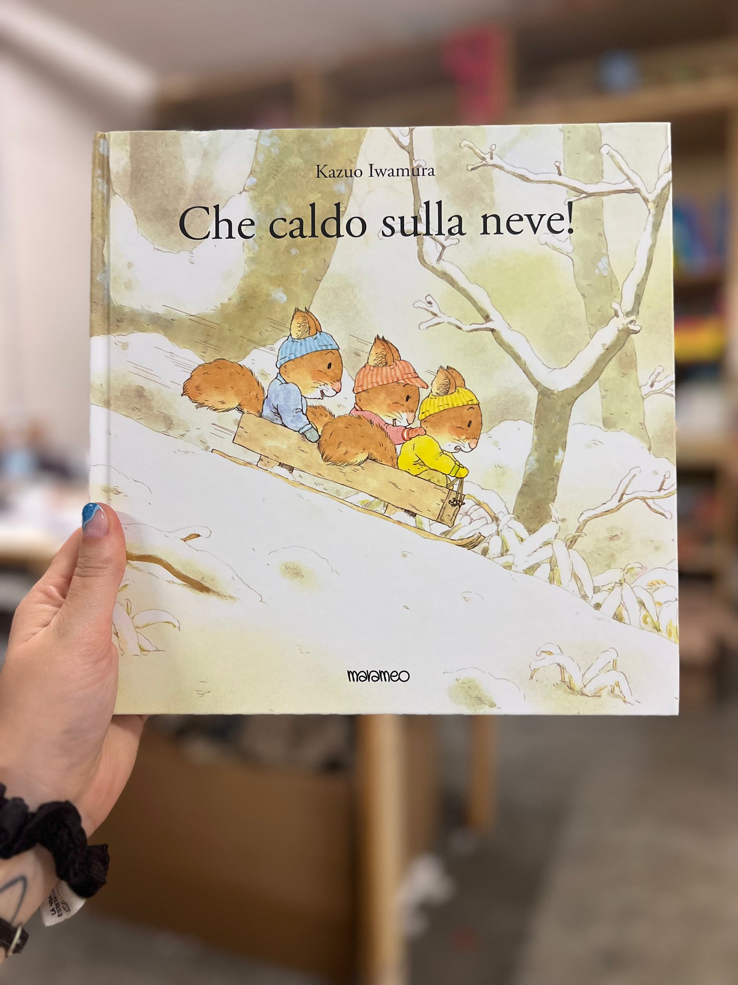 4 Albi illustrati Giapponesi sulle STAGIONI, Kazuo Iwamura