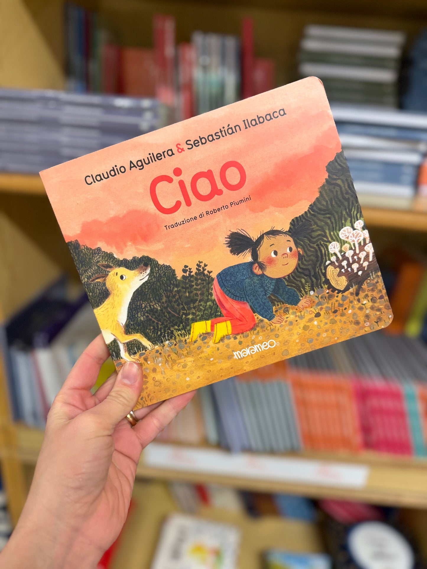 Ciao, Claudio Aguilera, Sebastián Ilabaca