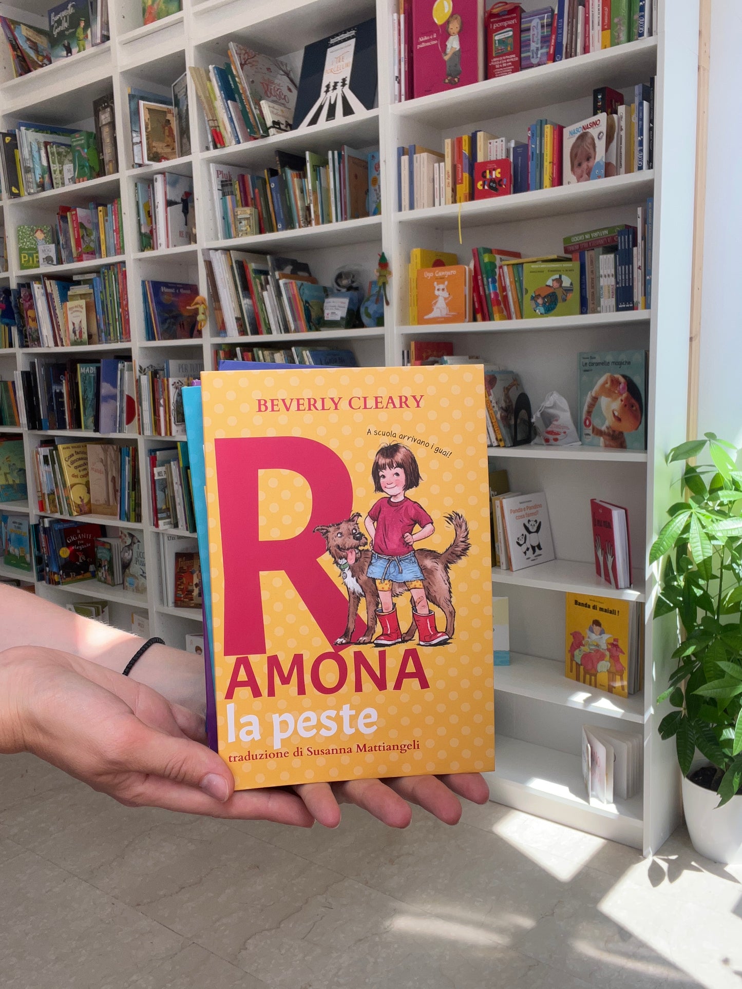 La serie Ramona di Beverly Cleary, tutti e 4 i libri