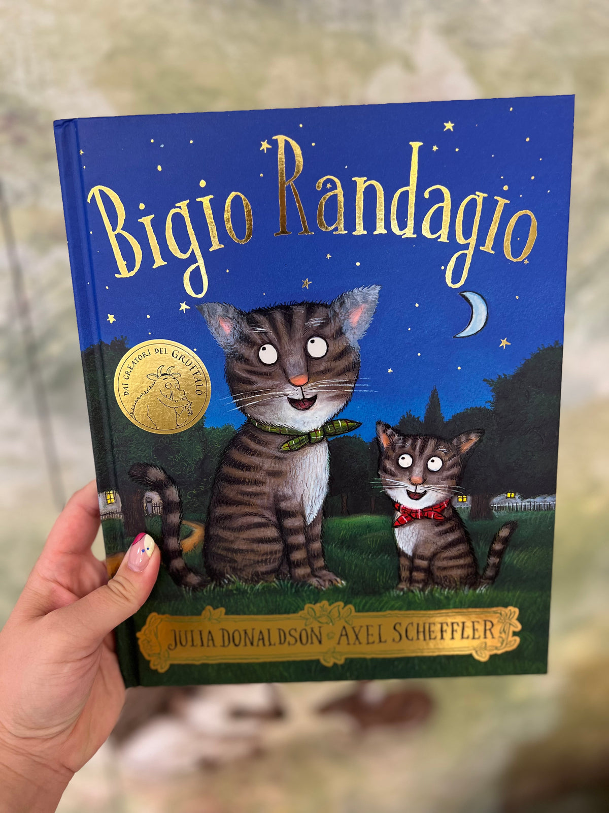 Bigio Randagio, Julia Donaldson & Axel Scheffler