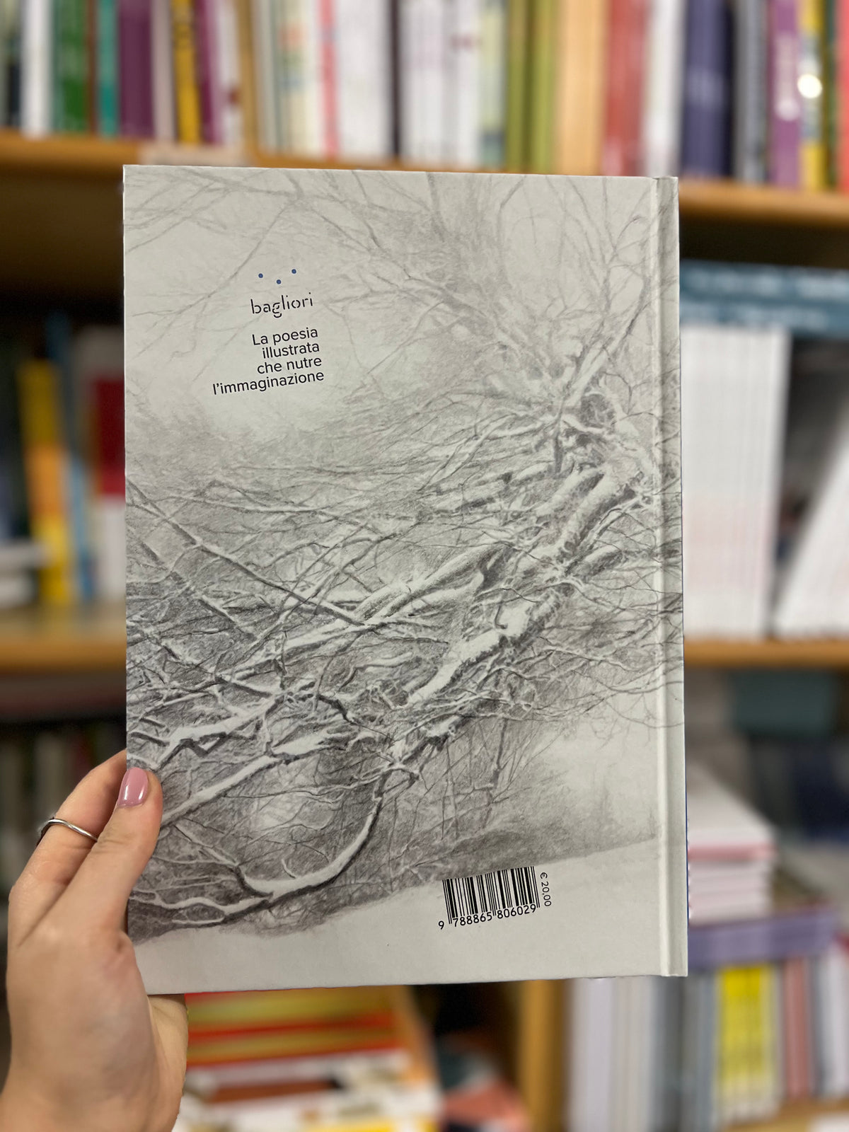 Accanto al bosco in una sera di neve, Robert Frost & Sonia Maria Luce Possentini