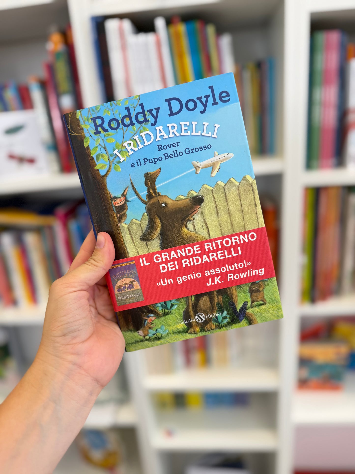 I Ridarelli, Rover e il Pupo Bello Grosso, Roddy Doyle
