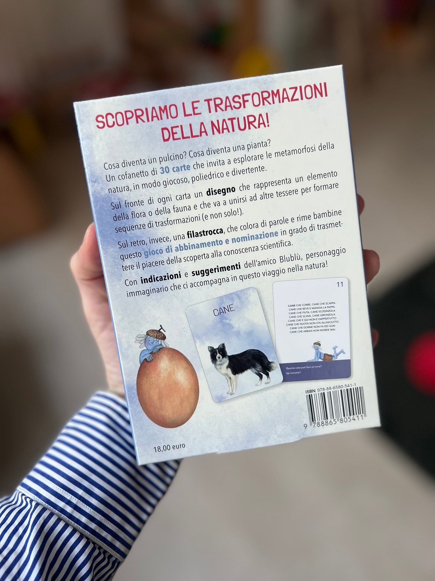 Cosa diventa? Elisa Mazzoli e Francesca Corso