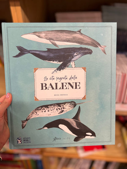 La vita segreta delle balene, Rena Ortega