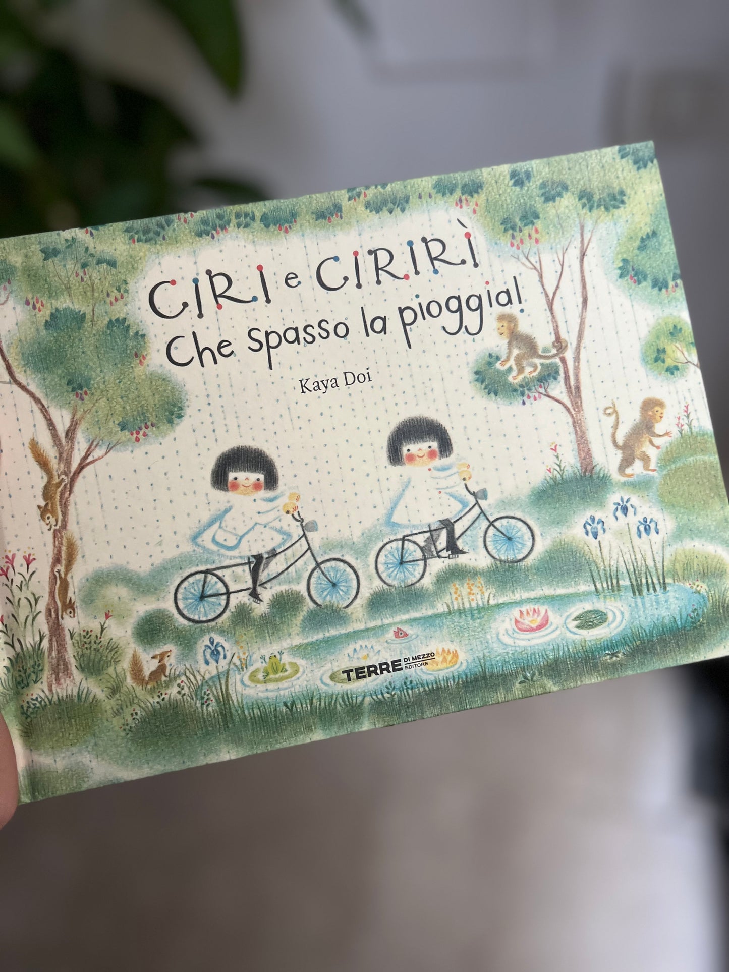 Ciri e Cirirì, che spasso la pioggia! Kaya Doi