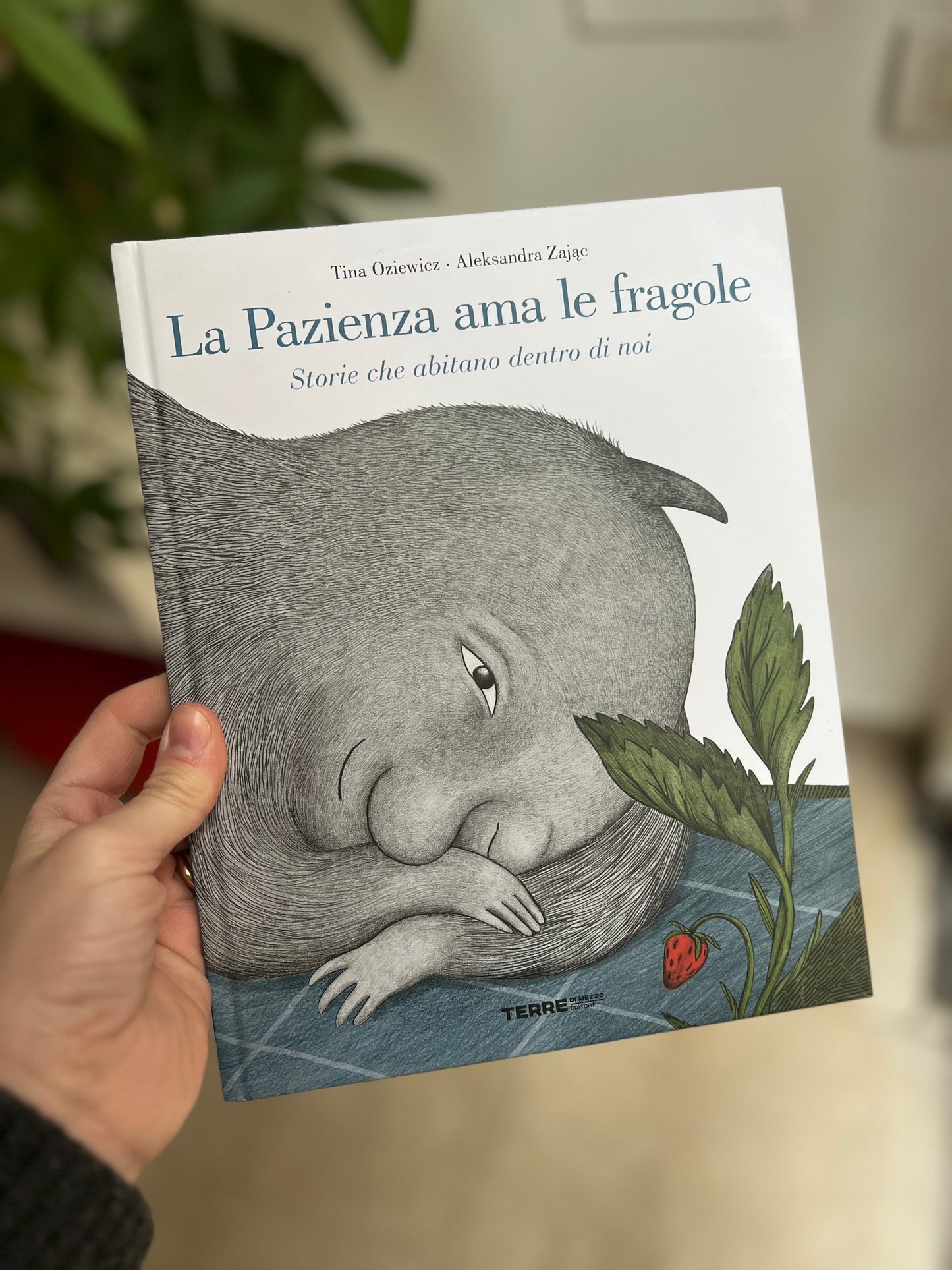 La pazienza ama le fragole, Tina Oziewicz, Aleksandra Zajac