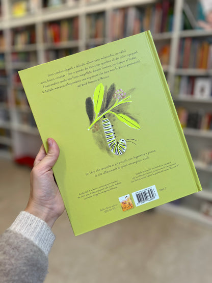 Vita da farfalla, Isabelle Arsenault, Kirsten Hall